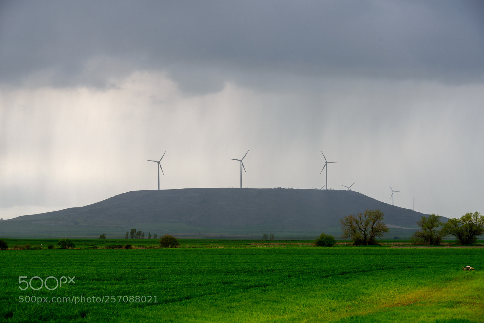 Nikon D800 sample photo. Rain photography