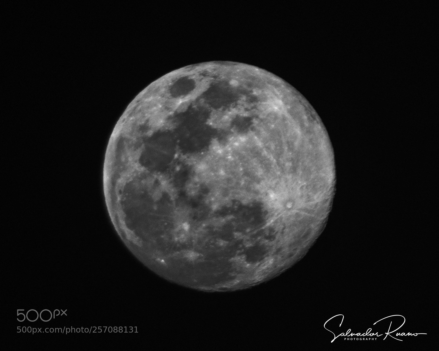 Nikon D7500 sample photo. Full moon abril photography