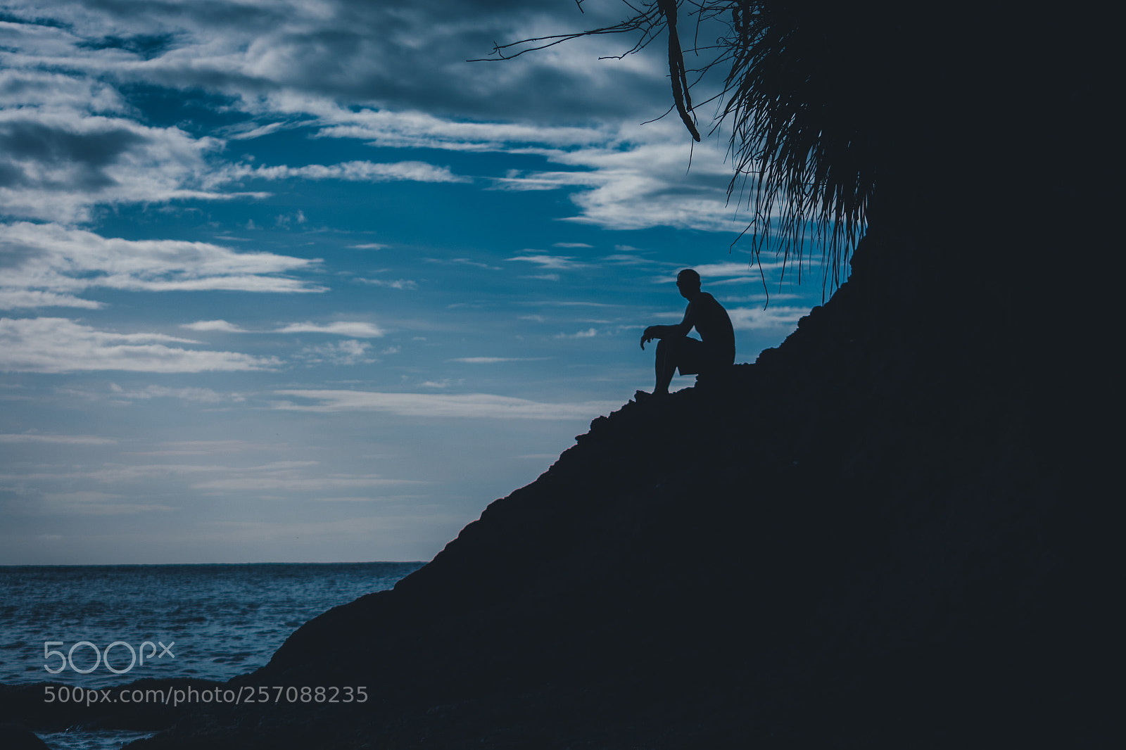 Nikon D5200 sample photo. Silhouette photography
