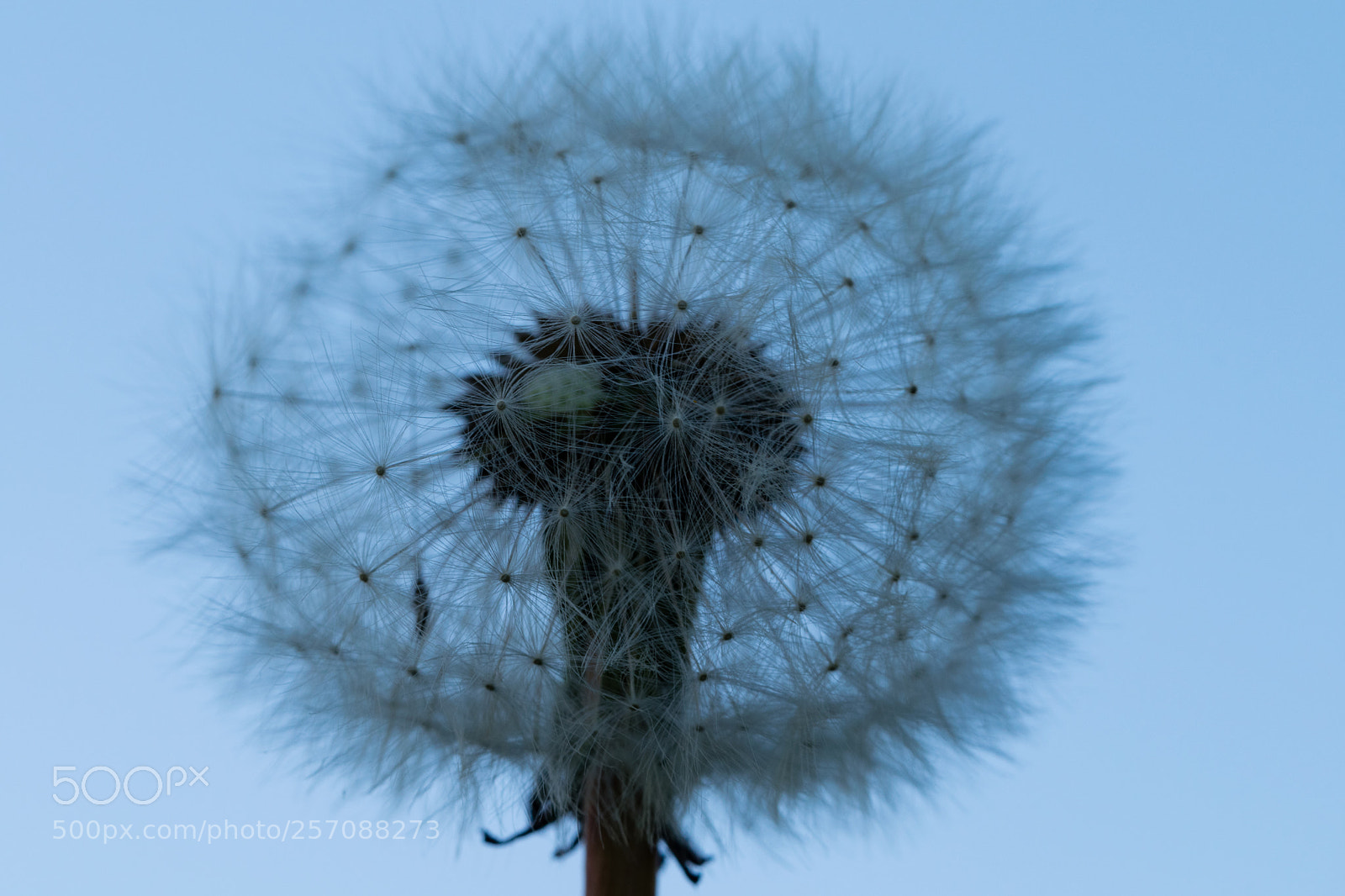Nikon D3300 sample photo. Too thee wind photography