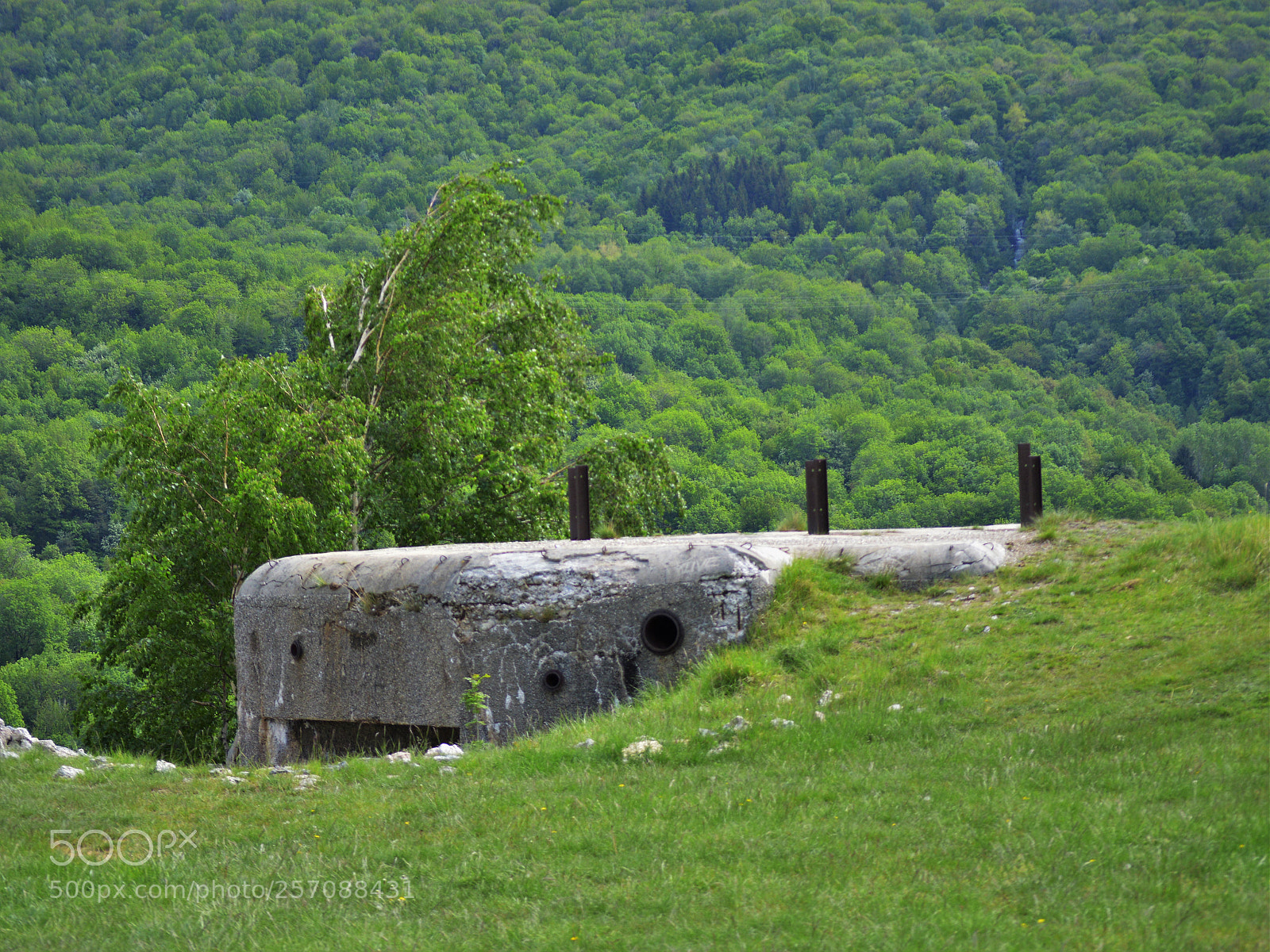 Nikon D3200 sample photo. Untitled photography