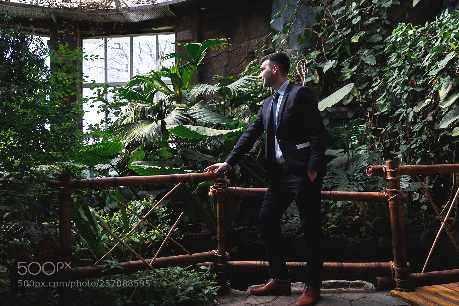 Sony a7S sample photo. Dsc photography