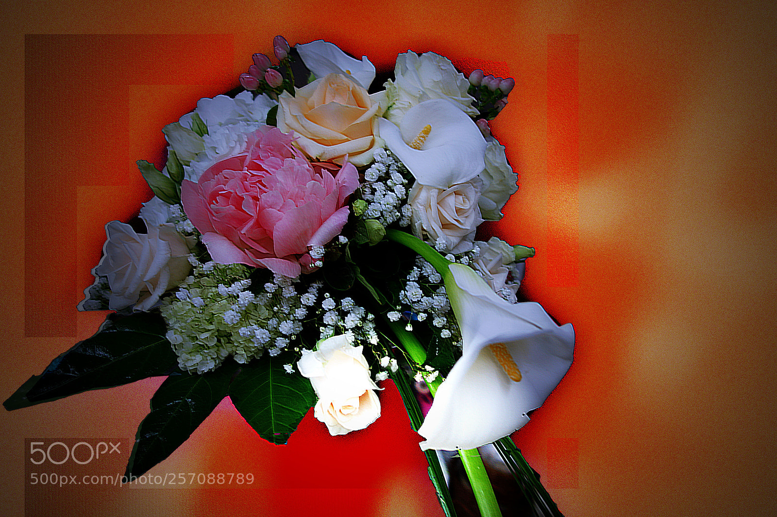 Sony Cyber-shot DSC-RX100 sample photo. Copia photography