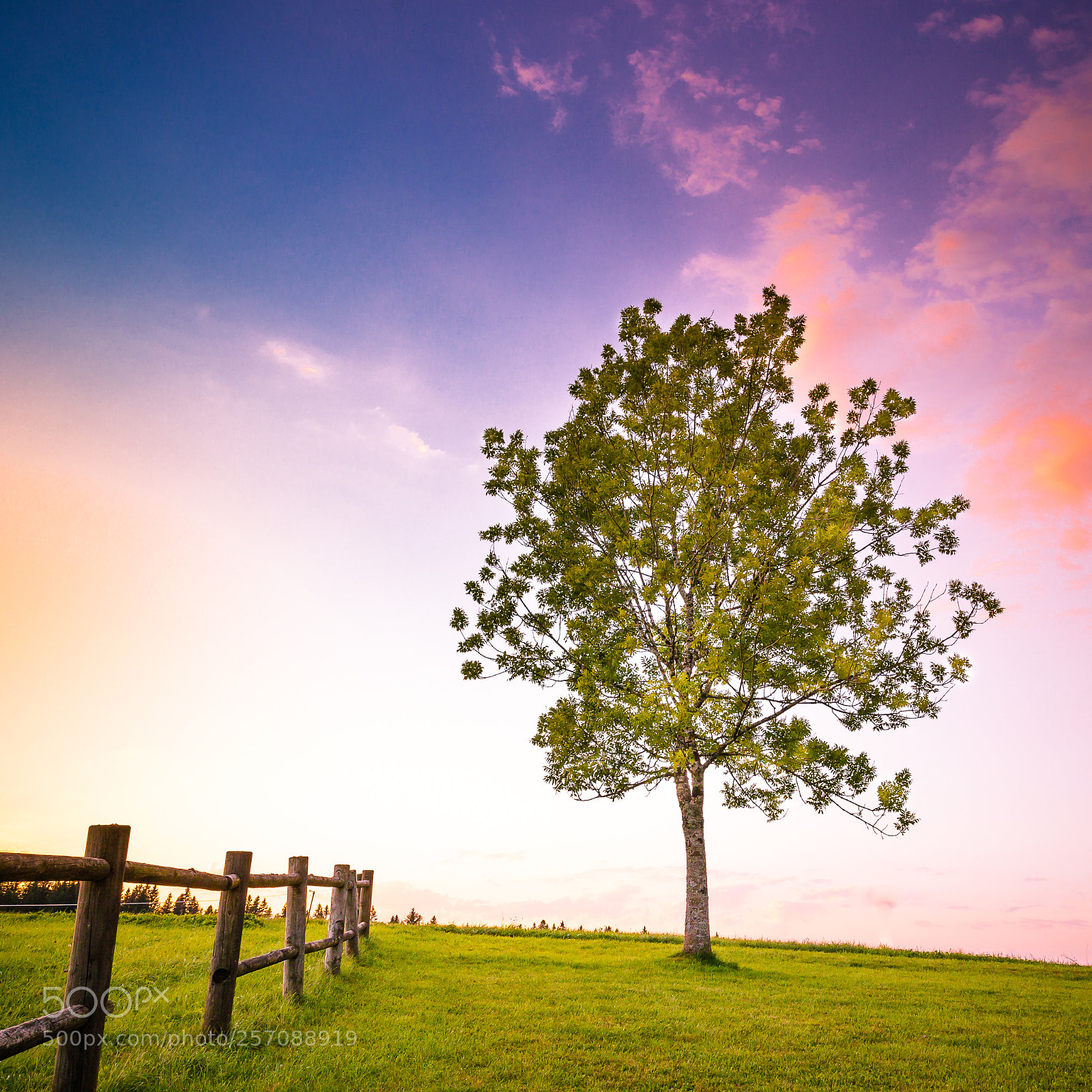 Canon EOS 6D sample photo. Nature photography