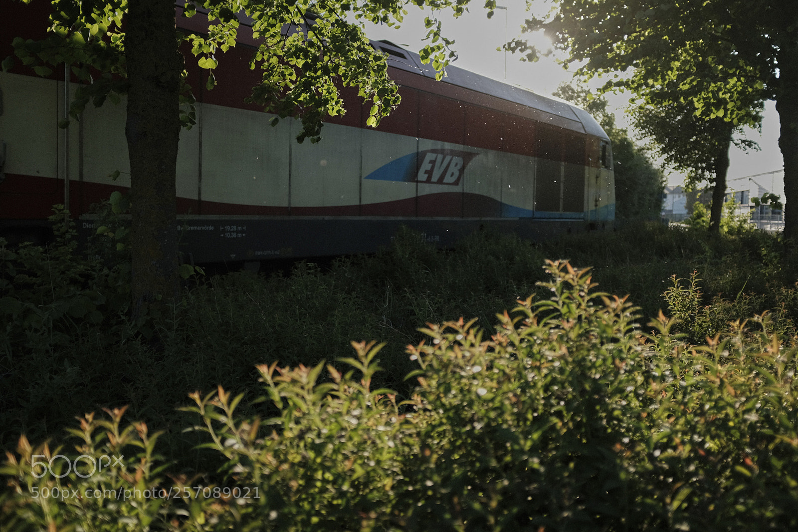 Fujifilm X100F sample photo. The hidden train photography