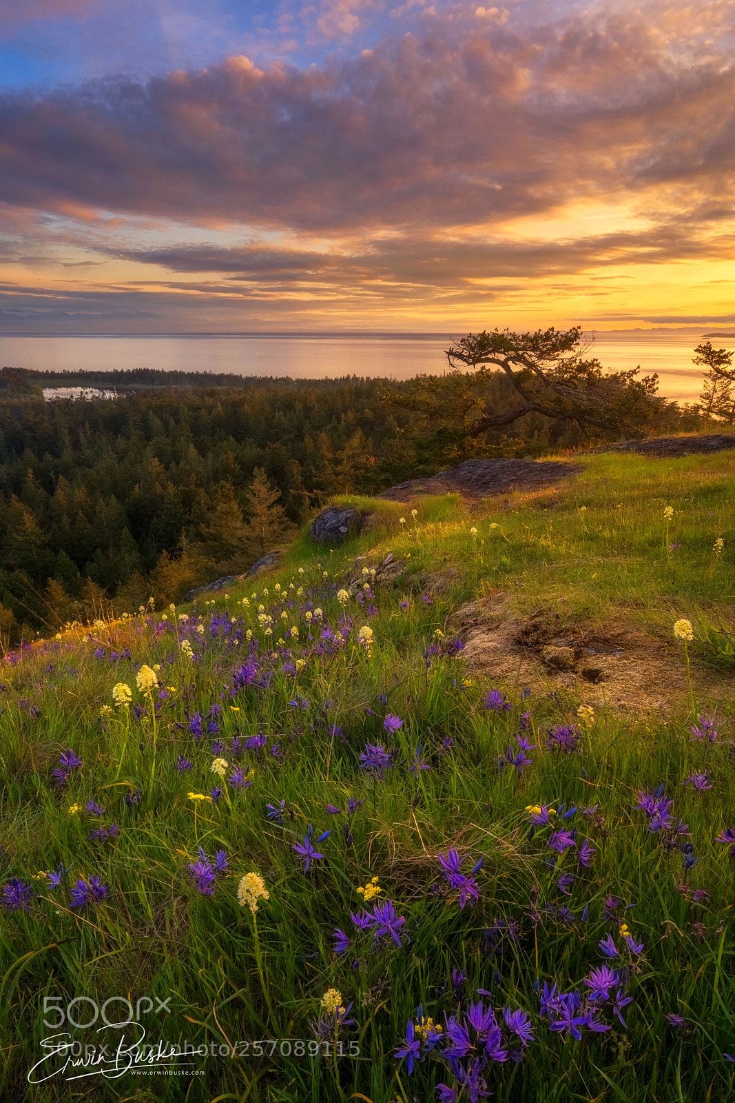 Sony a7R III sample photo. Deception pass dreams photography