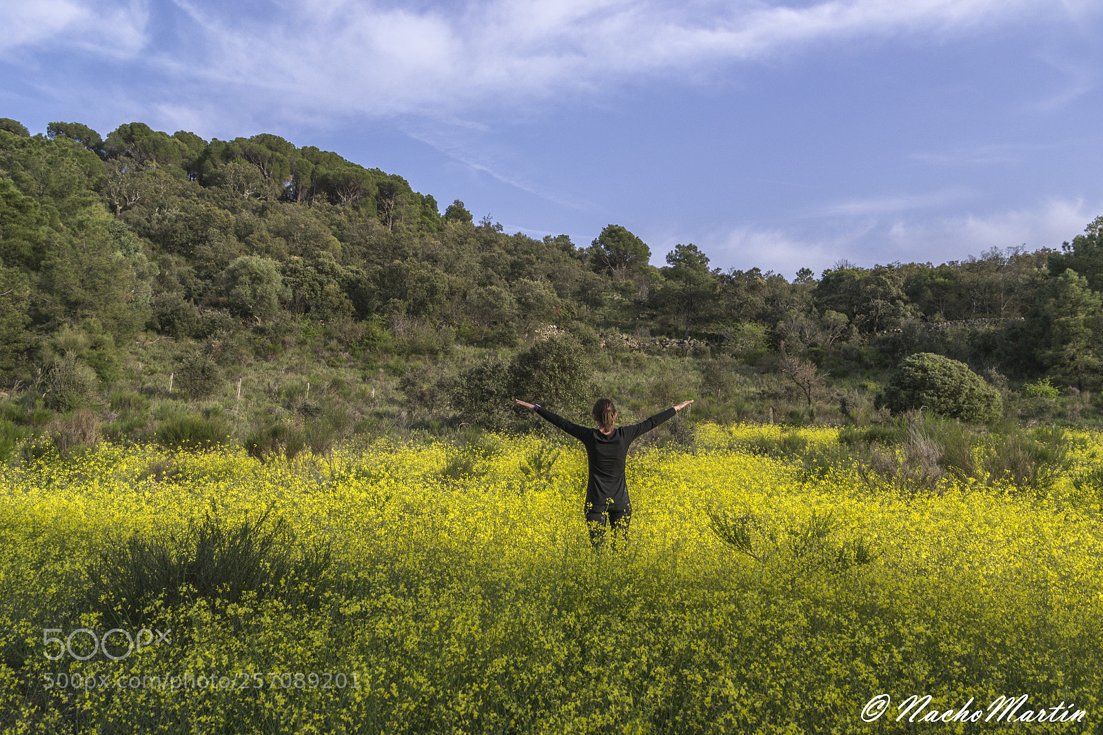 Nikon D3100 sample photo. Primavera photography