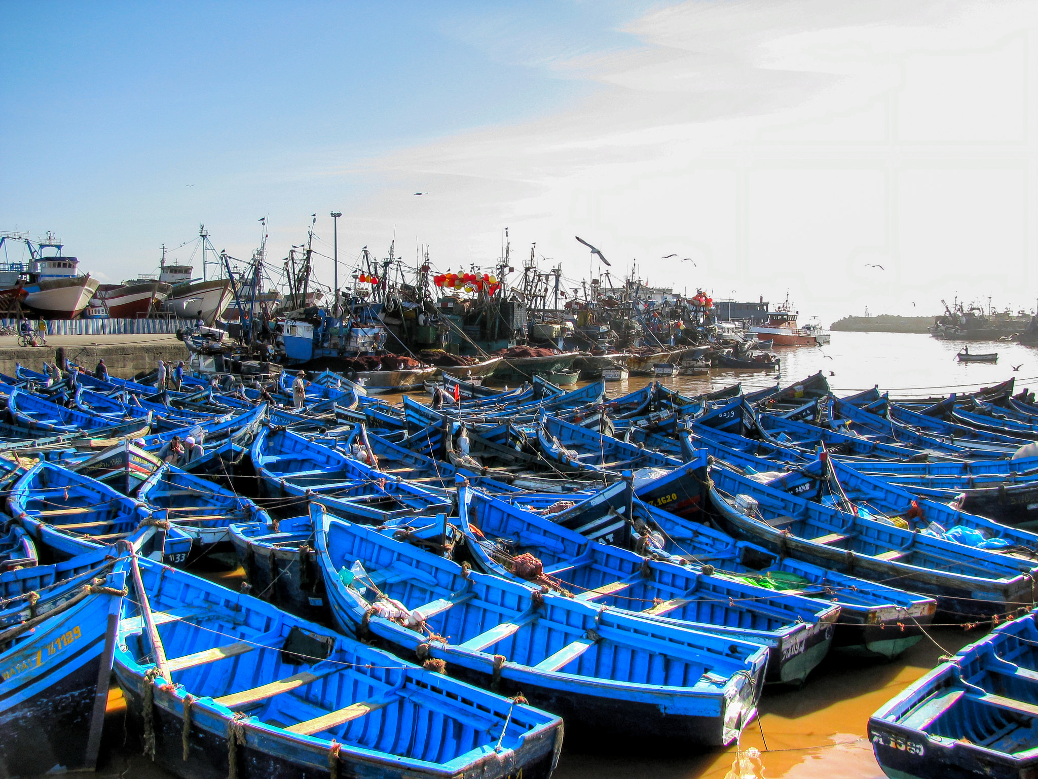Canon POWERSHOT SX100 IS sample photo. Port of essaouira in morocco photography