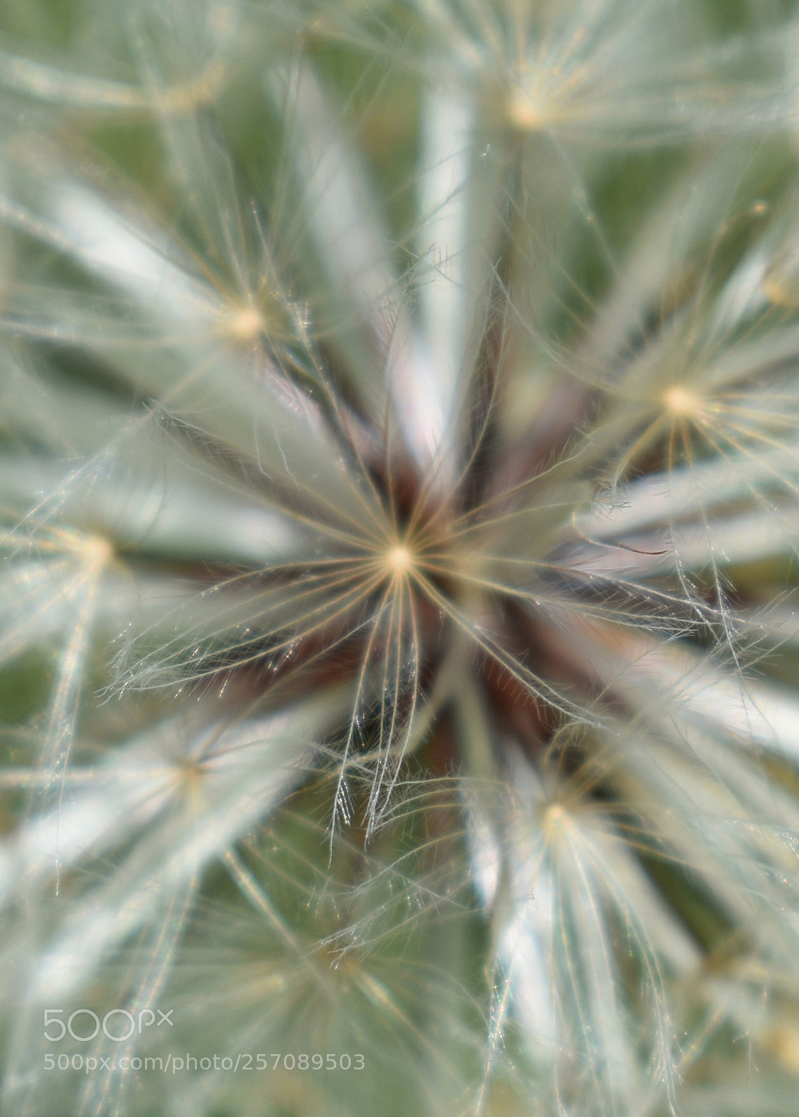 Nikon D3400 sample photo. Hawkbite wishes photography