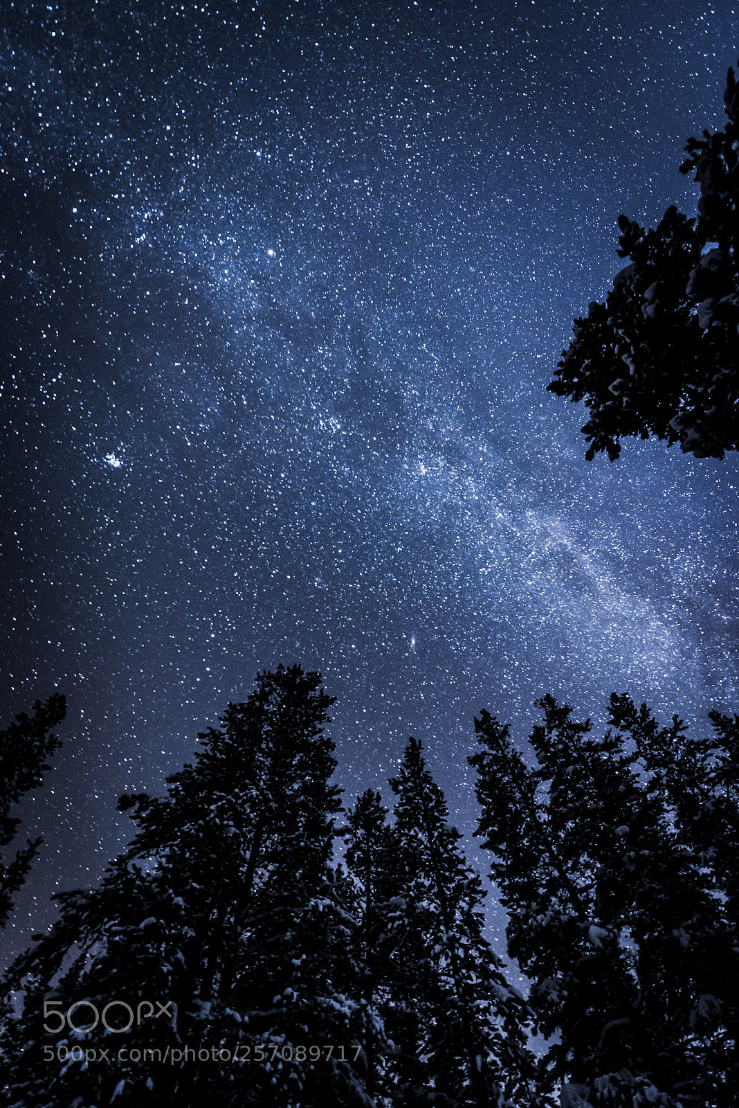Nikon D750 sample photo. Stars photography