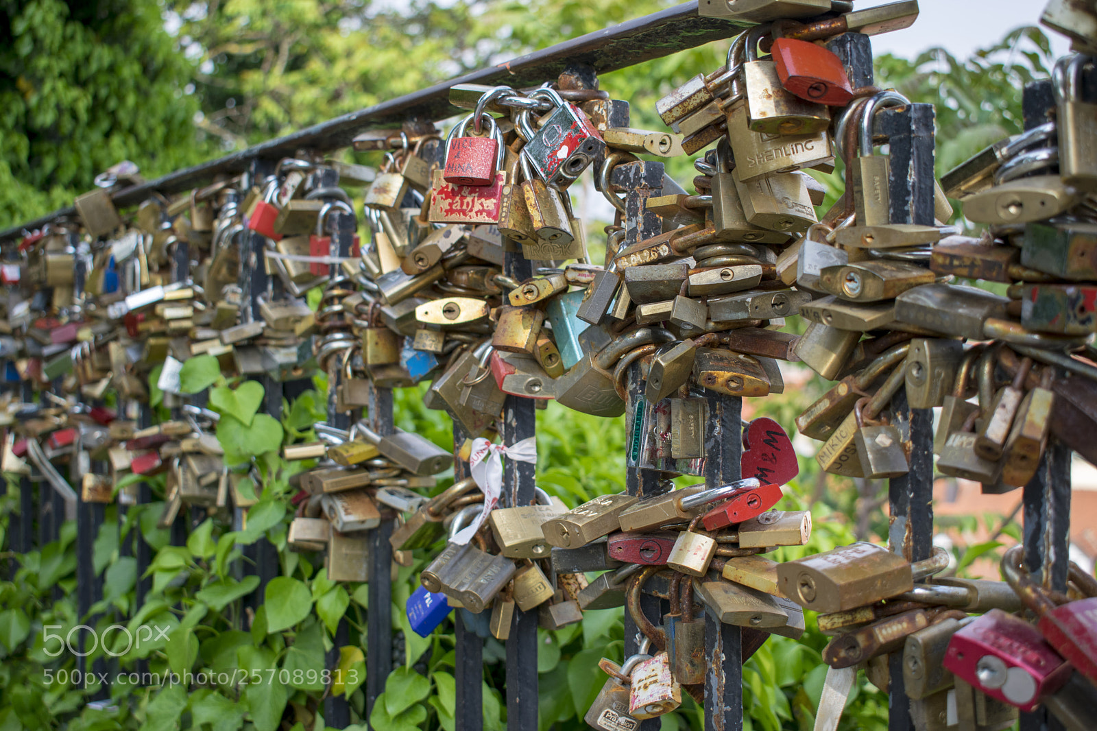Nikon D5300 sample photo. Lock photography