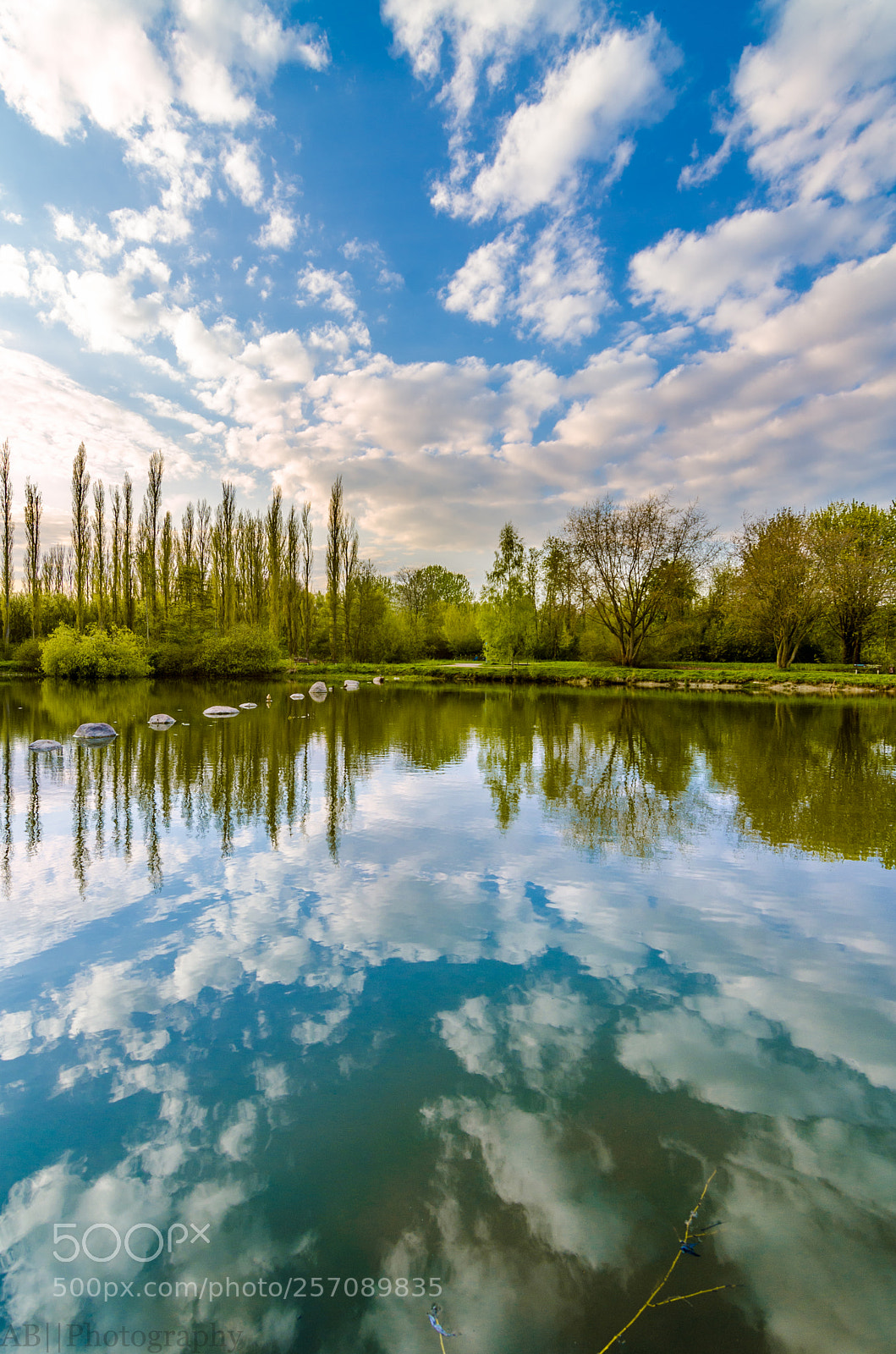 Nikon D7000 sample photo. Reflection photography