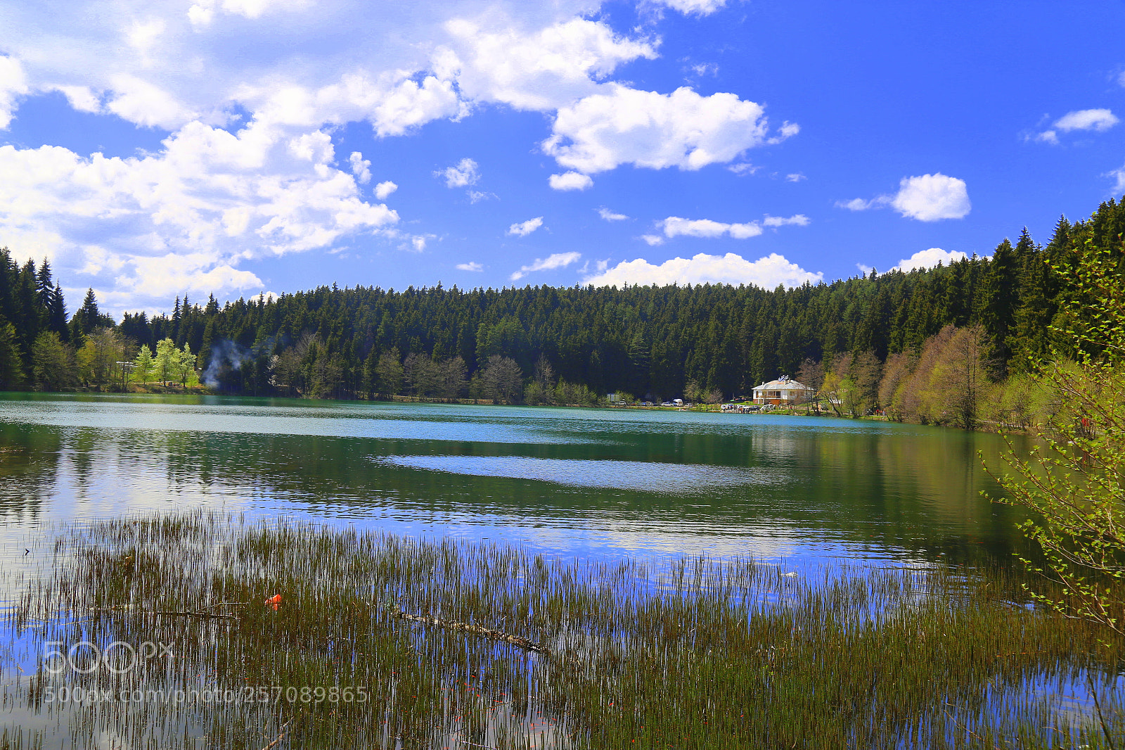 Canon EOS 6D + Canon EF 24-105mm F4L IS USM sample photo. şavşat photography
