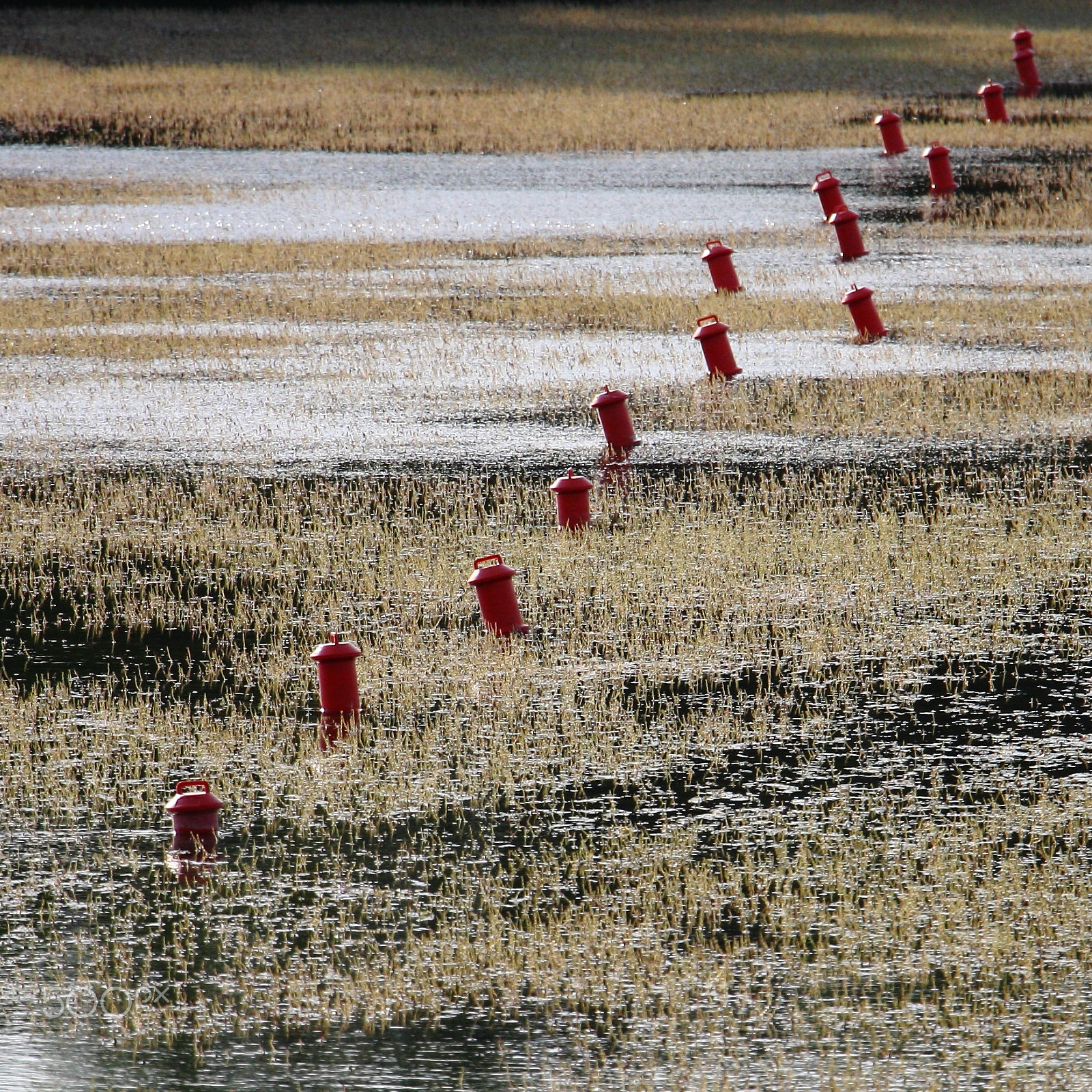 Canon EOS 450D (EOS Rebel XSi / EOS Kiss X2) sample photo. Red buoys photography