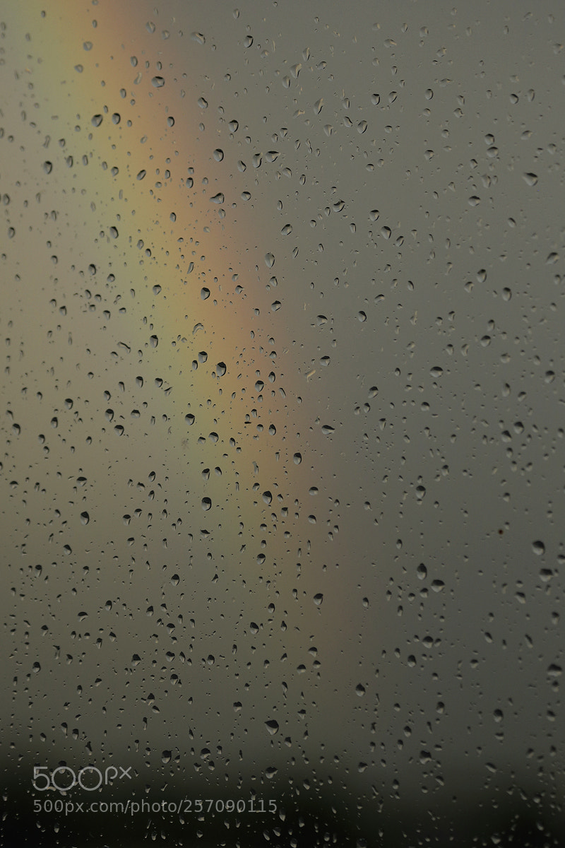 Canon EOS 6D sample photo. Rainbow through the window photography