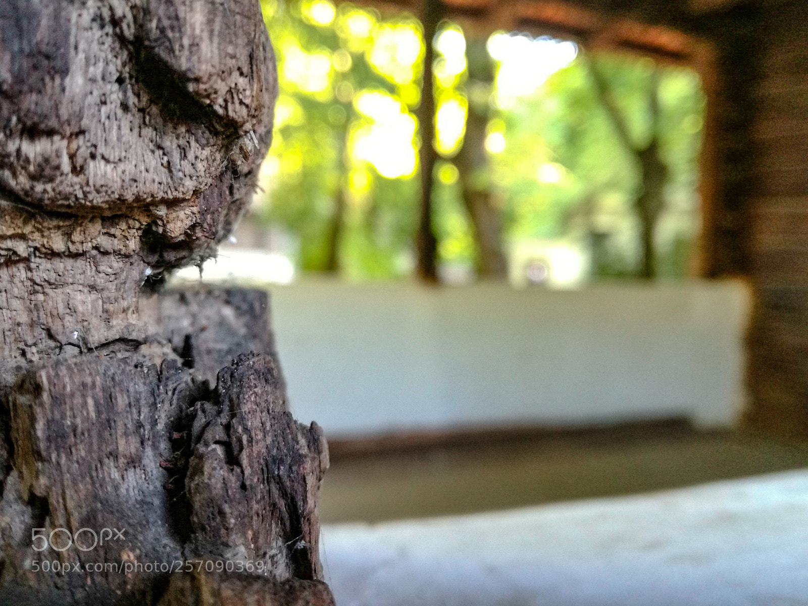 HUAWEI P9 LITE sample photo. Pridvor photography