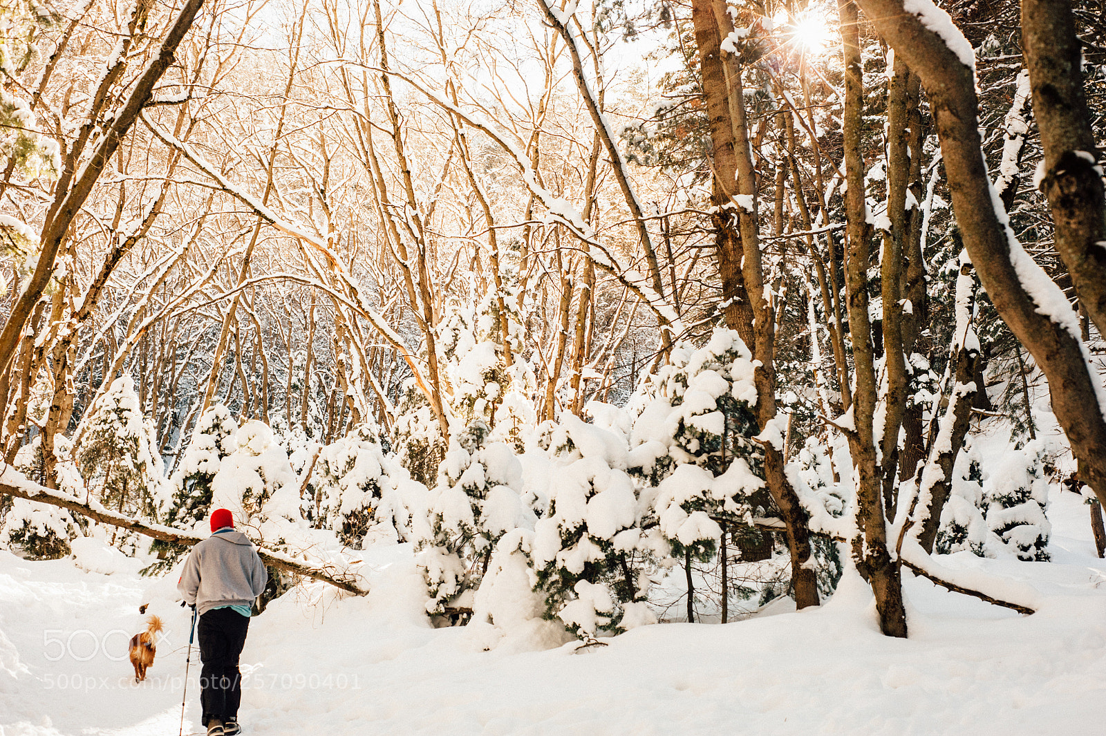 Nikon D700 sample photo. January snow hiking photography