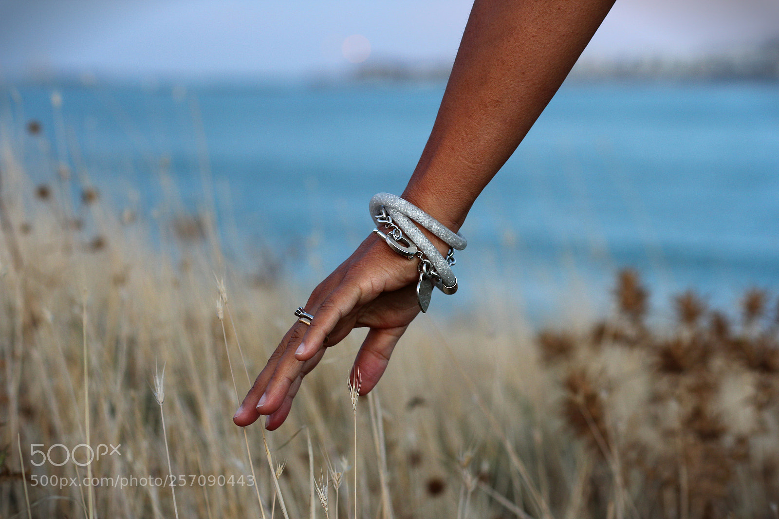 Canon EOS 60D sample photo. Untitled photography