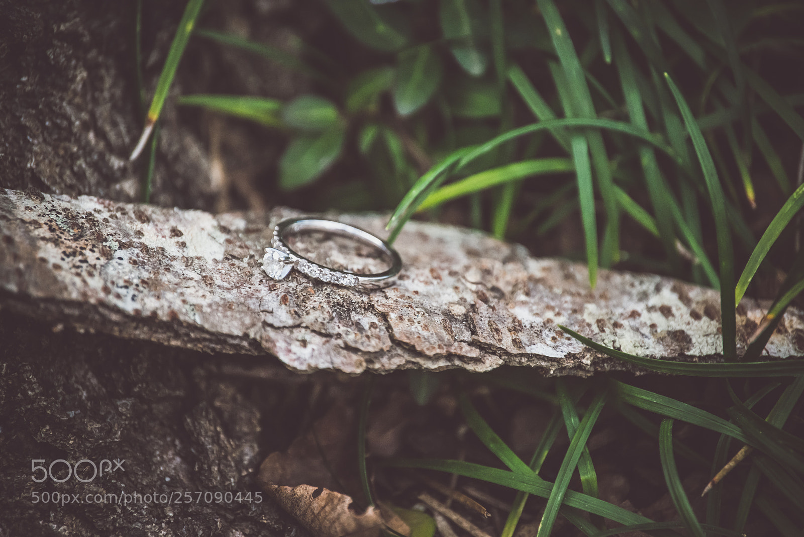 Nikon D600 sample photo. Lindsey's engagement ring botanical photography