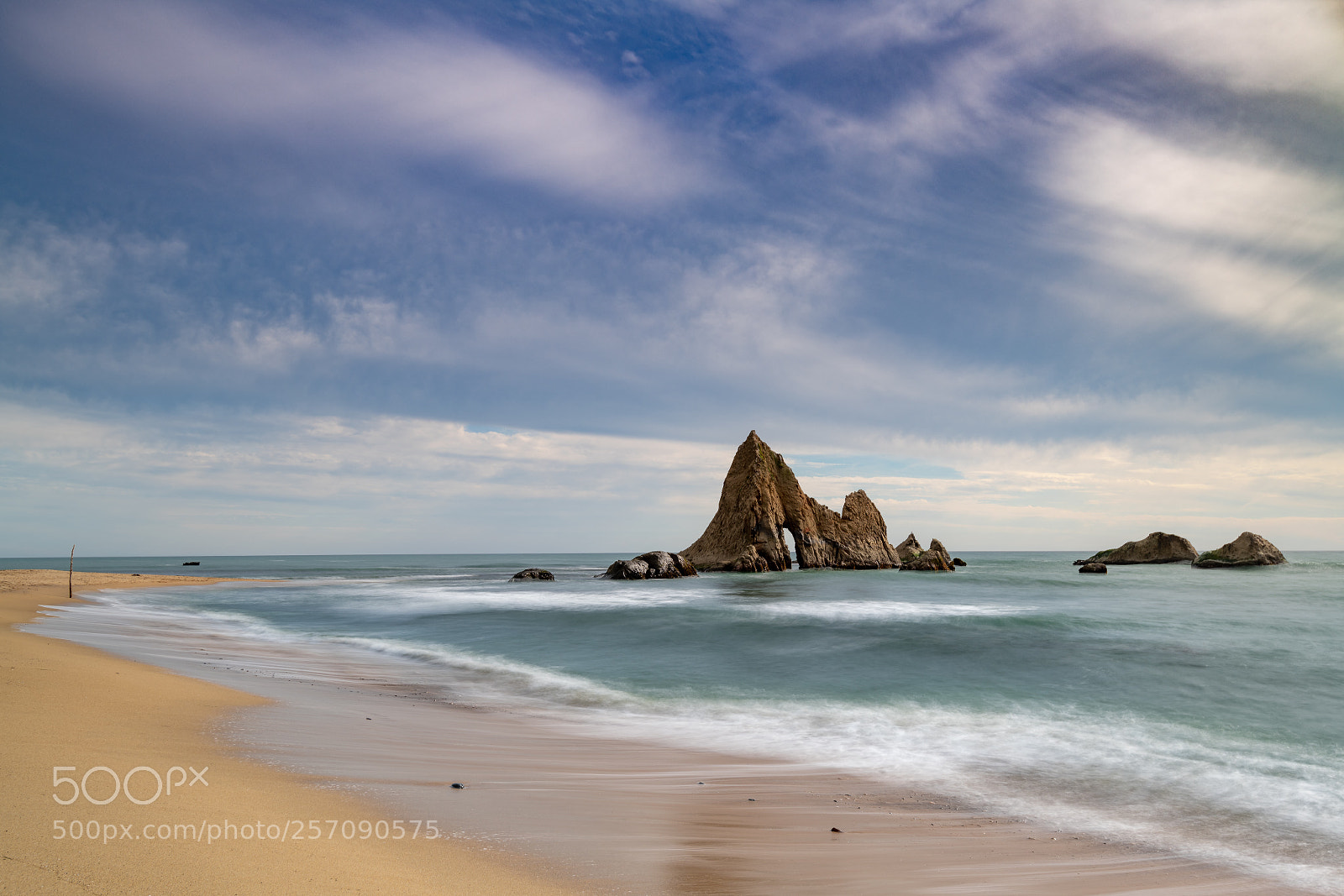 Nikon D850 sample photo. Martin's beach, ca photography