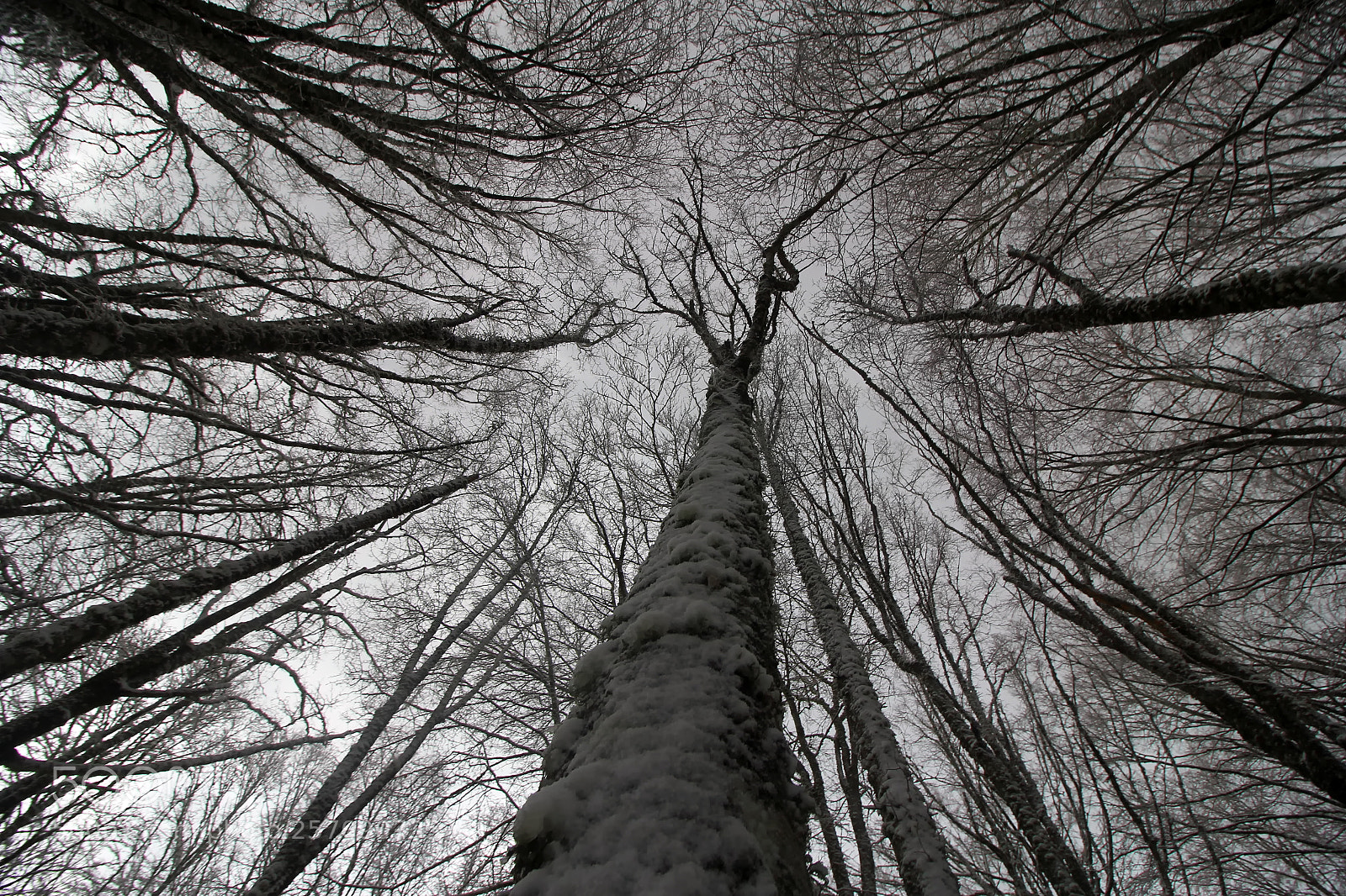 Canon EOS 60D sample photo. Untitled photography