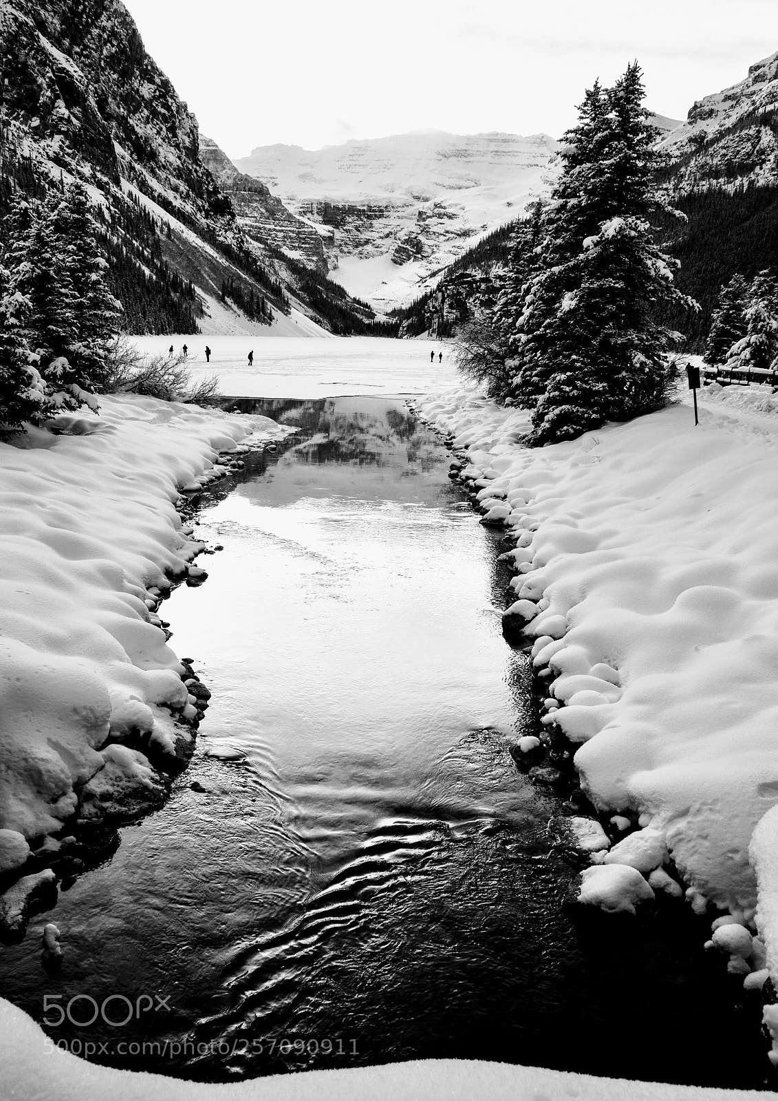 Nikon D810 sample photo. Lake louise 
spring break  photography