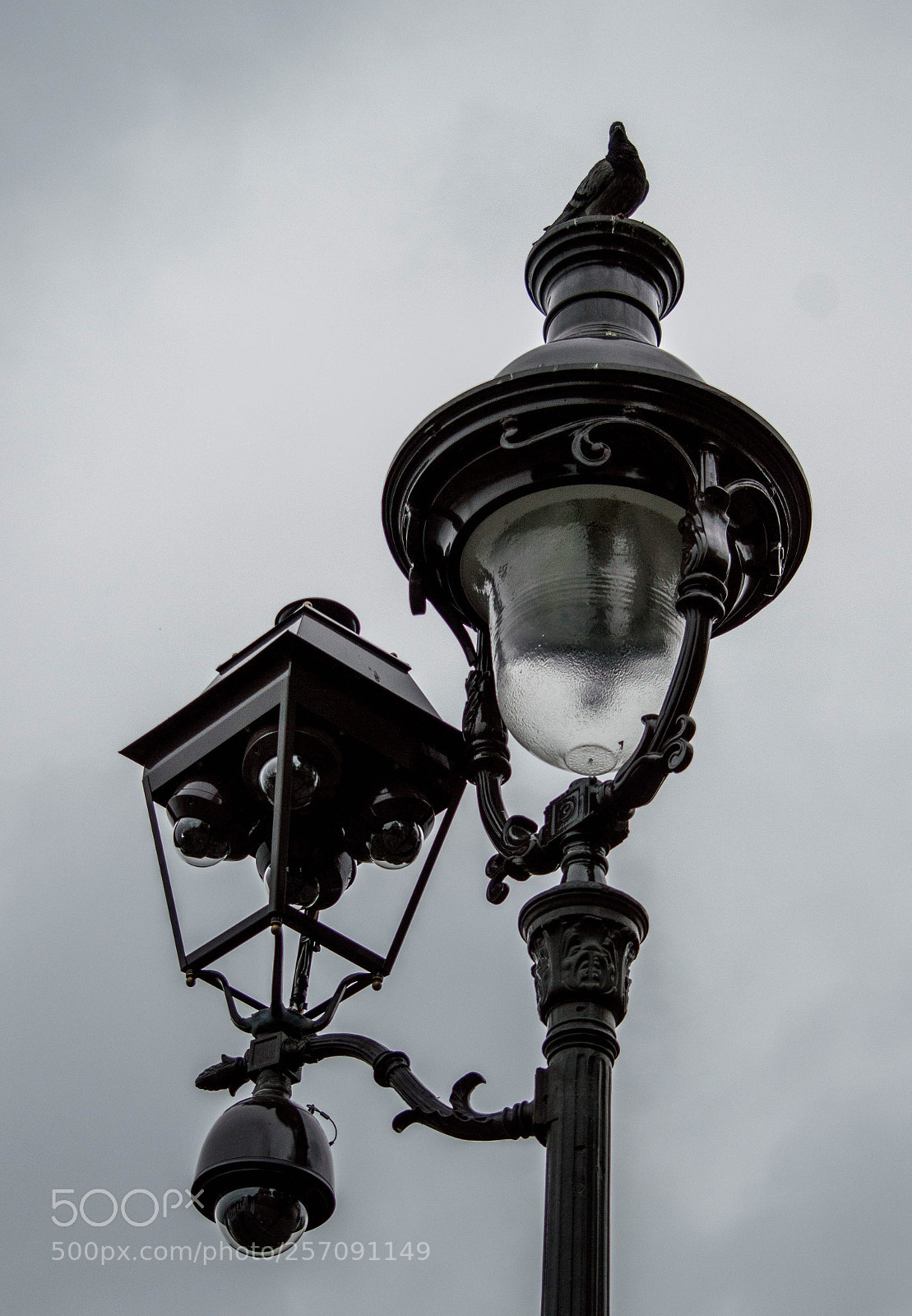 Nikon D3200 sample photo. Untitled photography