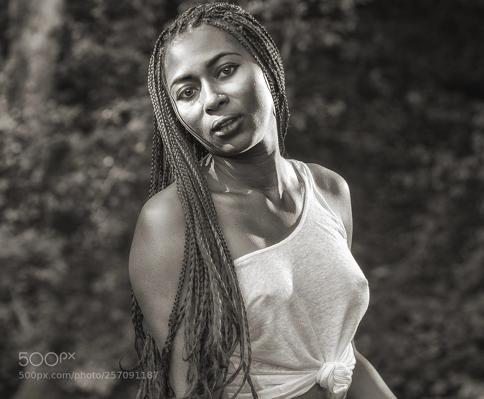 Nikon D750 sample photo. An ebony statue photography