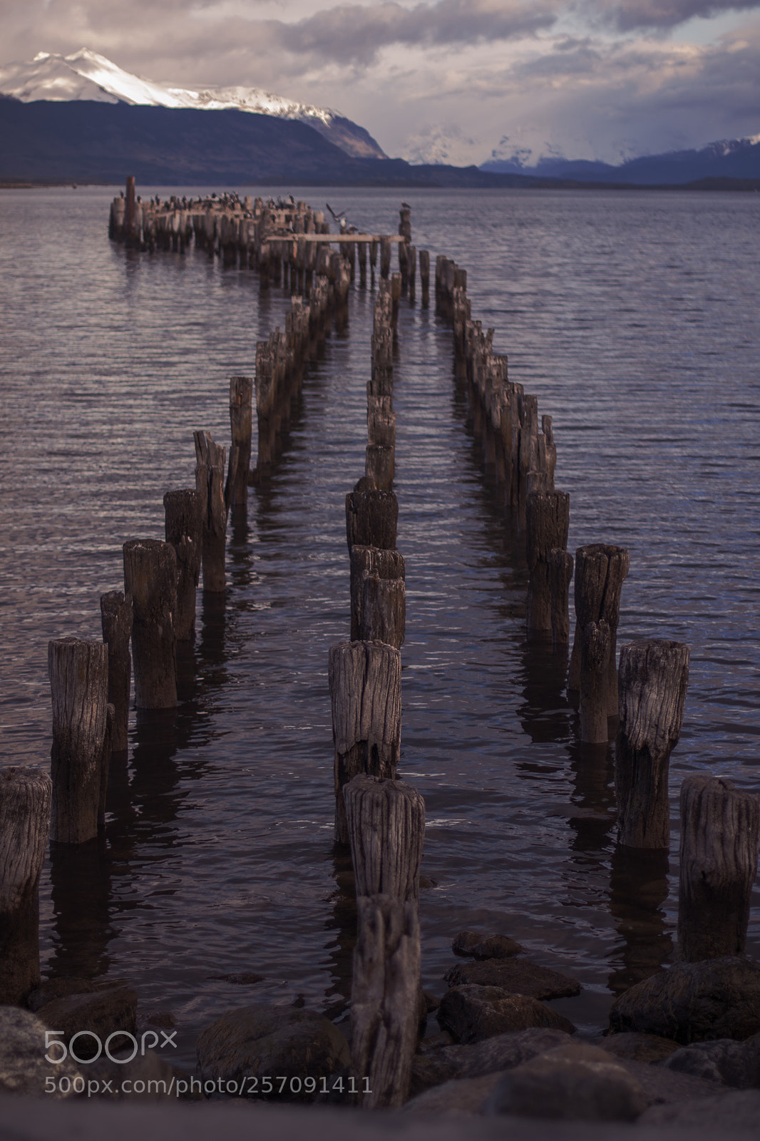 Canon EOS 750D (EOS Rebel T6i / EOS Kiss X8i) sample photo. Puerto natales photography