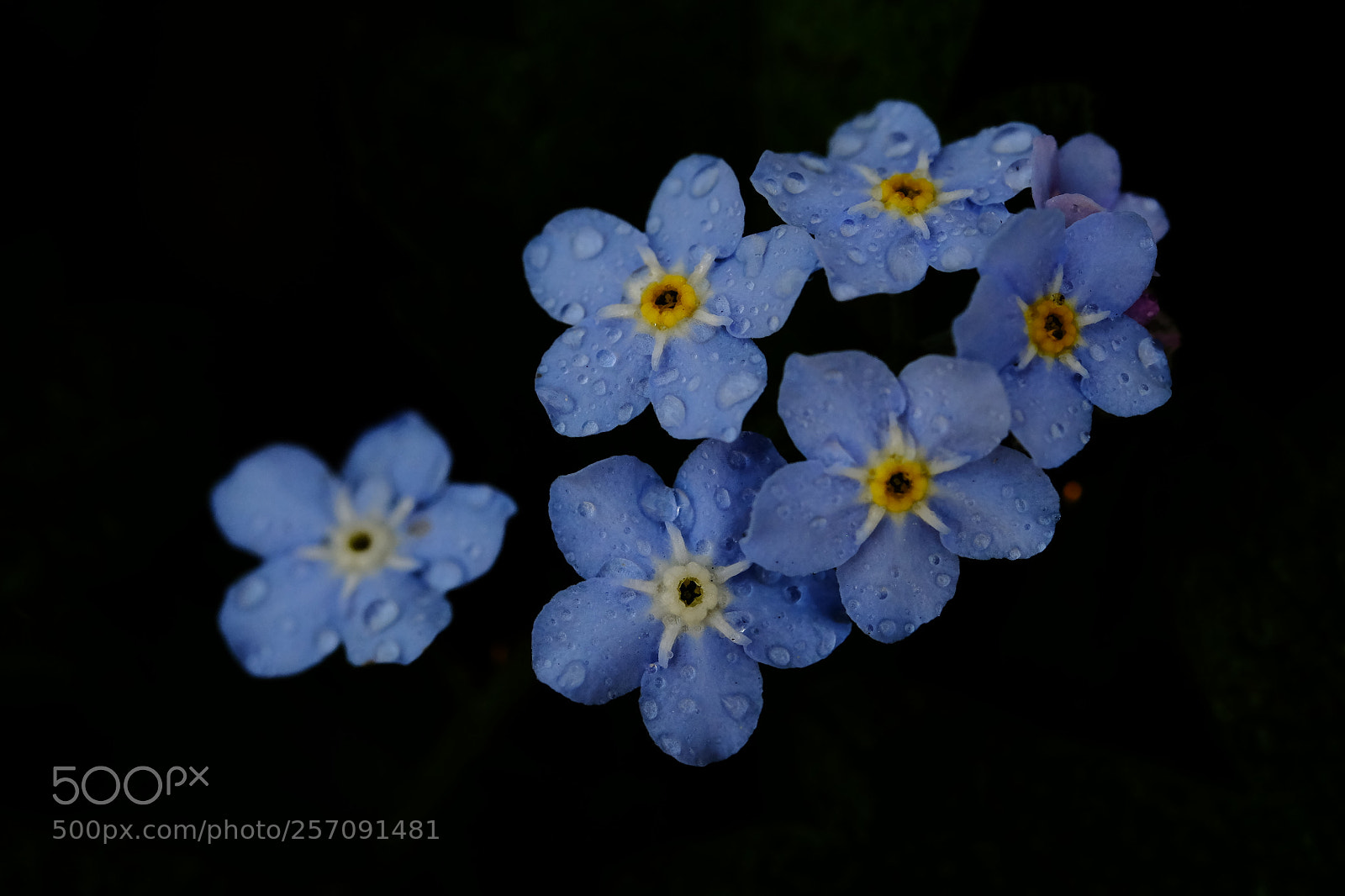 Fujifilm X-T10 sample photo. 564 photography