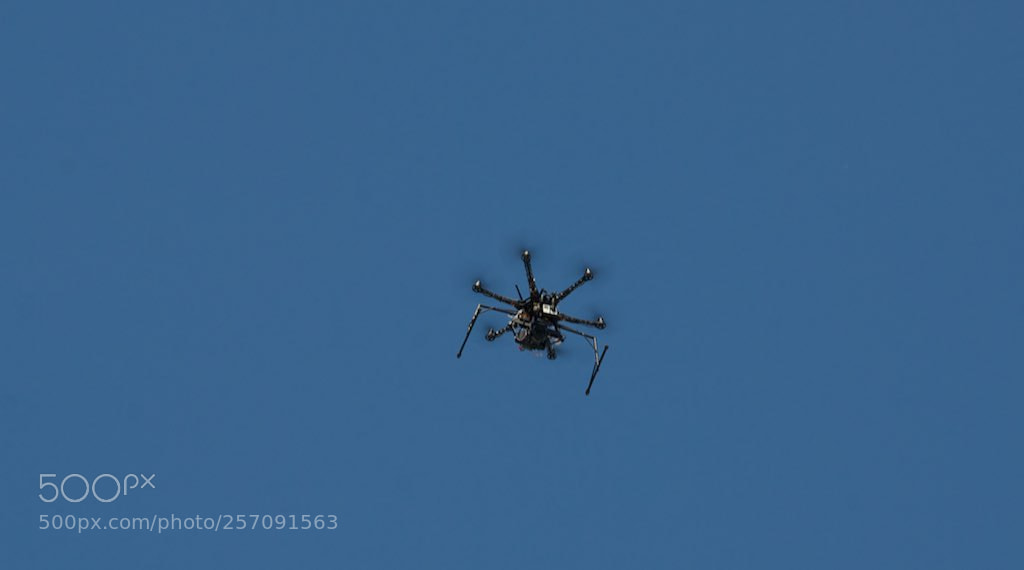 Nikon D60 sample photo. Version photography