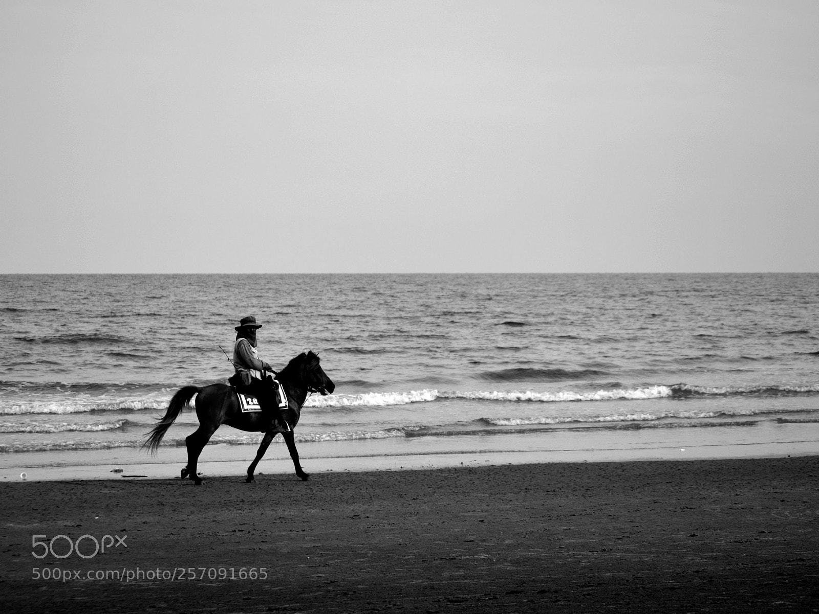Nikon D5300 sample photo. Untitled photography
