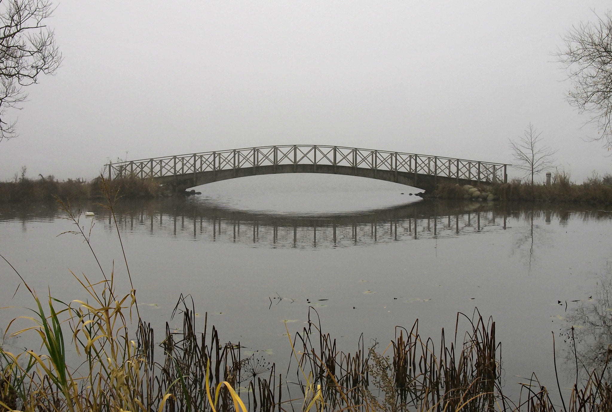Olympus PEN E-PL2 sample photo. Footbridge photography