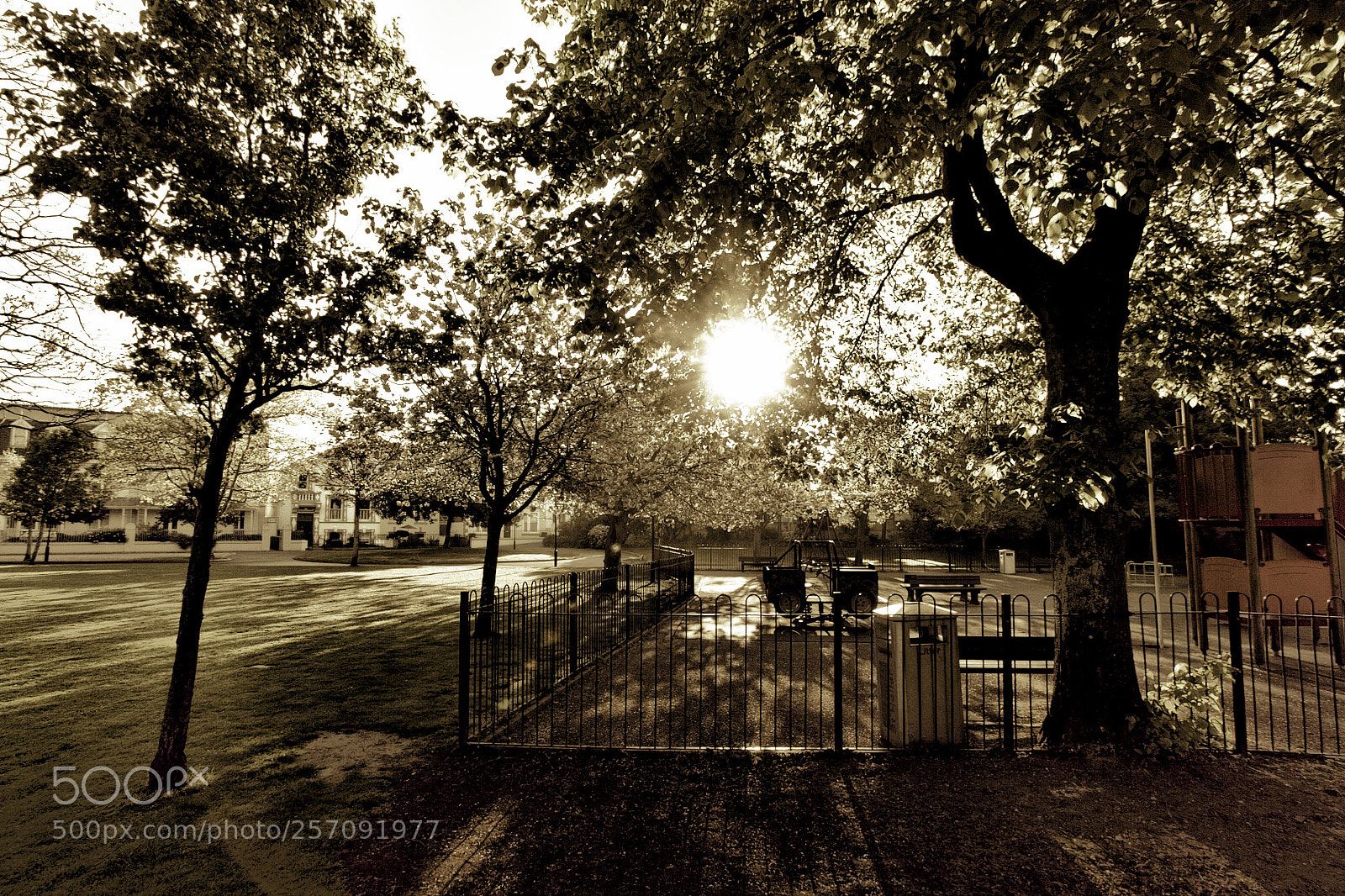 Canon EOS 7D sample photo. In the park photography