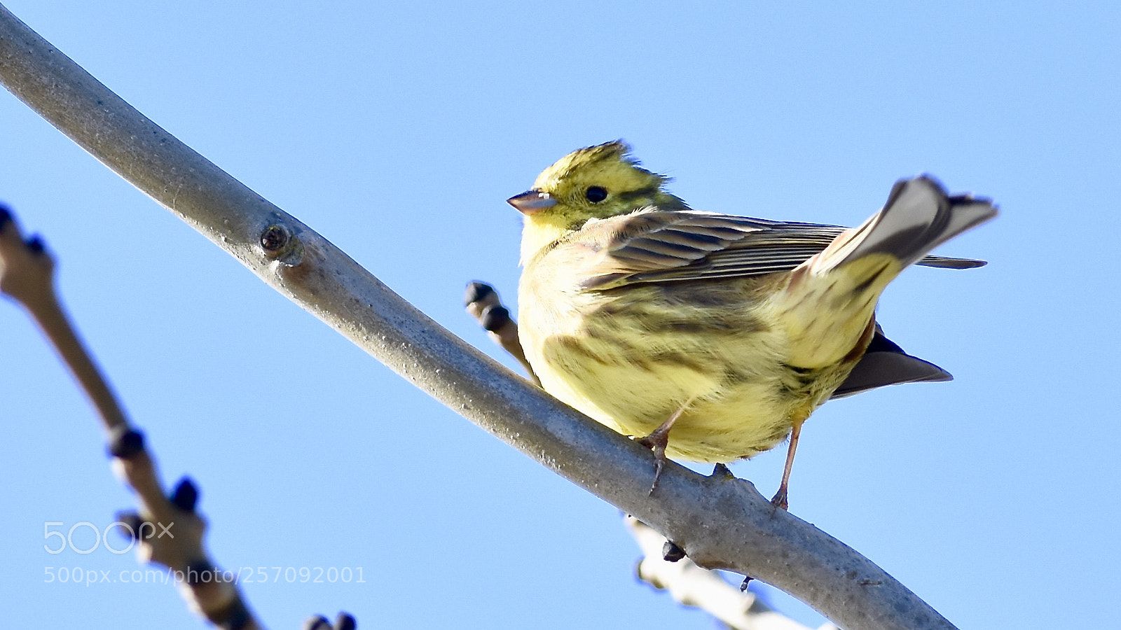 Nikon D7200 sample photo. Fullsizeoutput ce photography