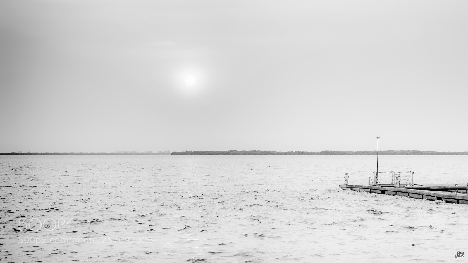 Nikon D610 sample photo. Almeida photography