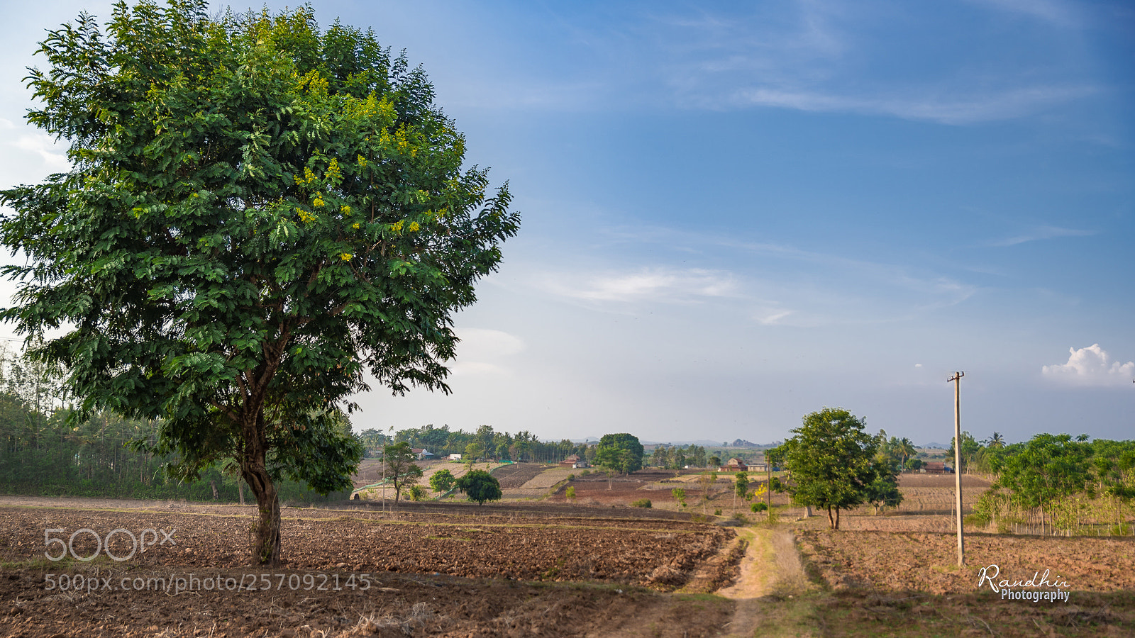 Nikon D750 sample photo. Nature's visual treat. photography