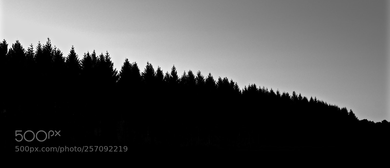 Nikon D3300 sample photo. Silhouette photography