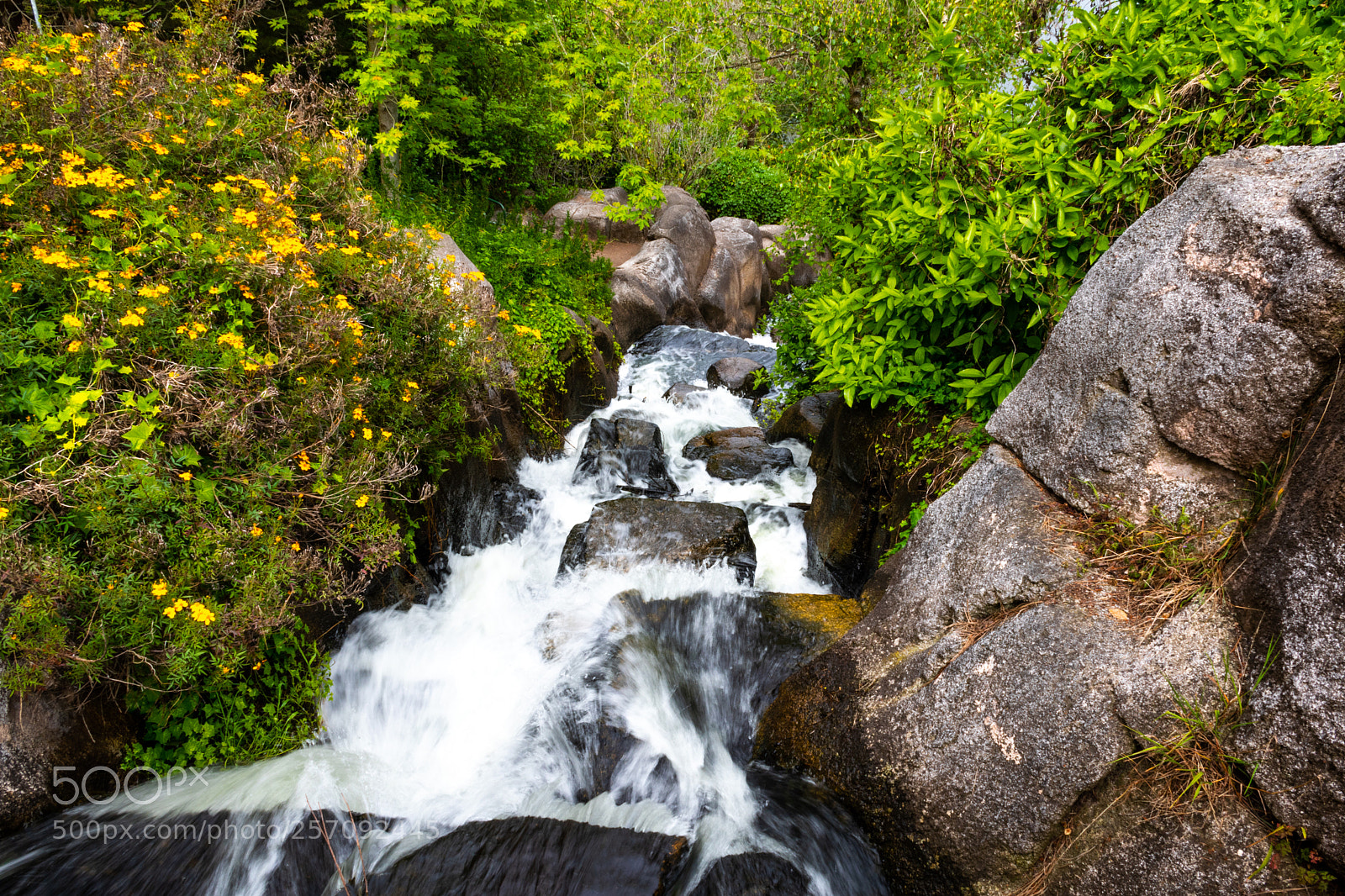 Nikon D5600 sample photo. Creek photography
