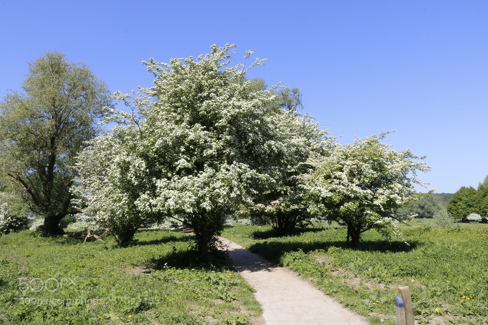 Canon EOS 750D (EOS Rebel T6i / EOS Kiss X8i) sample photo. De blauwe kamer photography