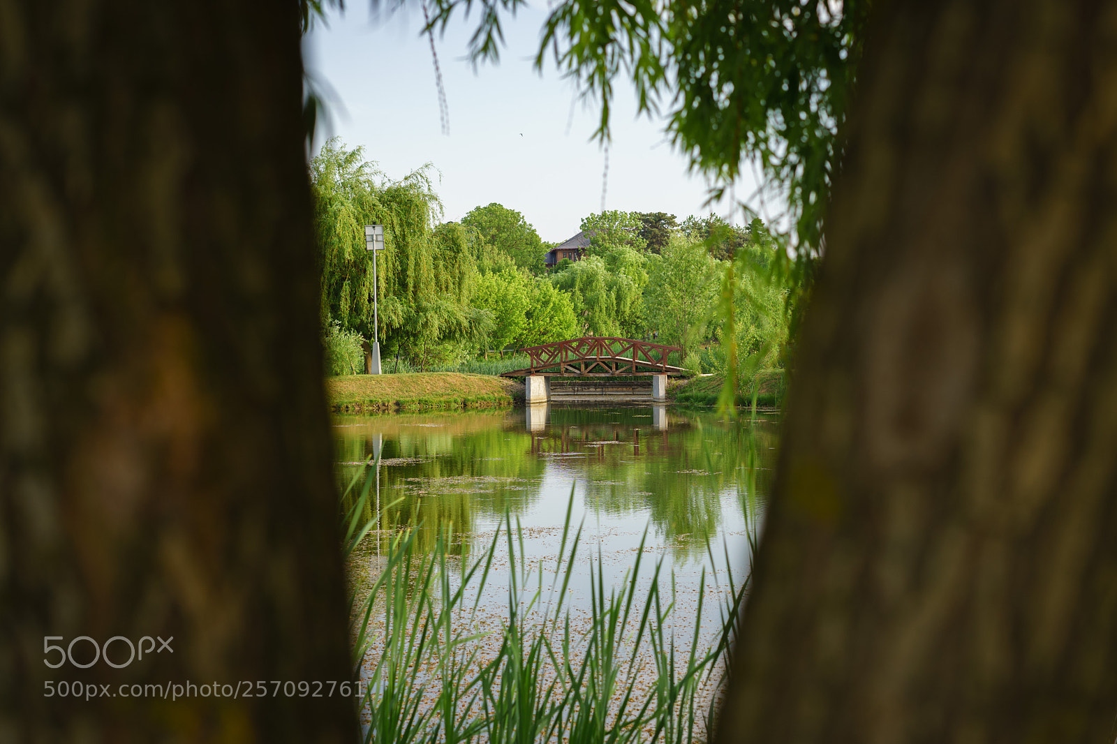 Sony a7 II sample photo. Dsc photography
