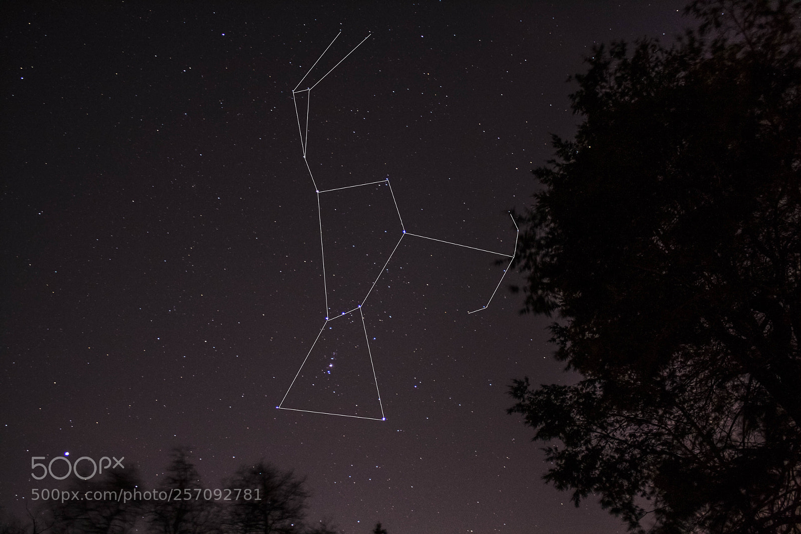 Canon EOS 1000D (EOS Digital Rebel XS / EOS Kiss F) sample photo. Orion the hunter photography