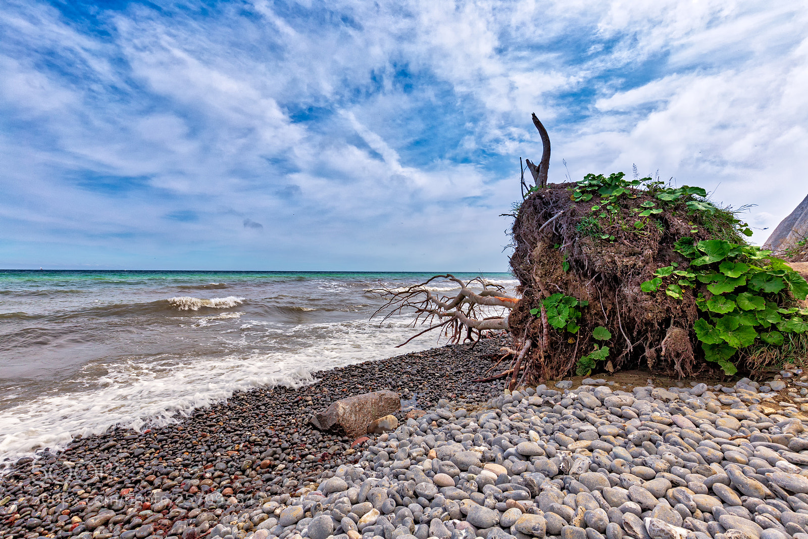 Canon EOS 6D sample photo. Reaching for water photography