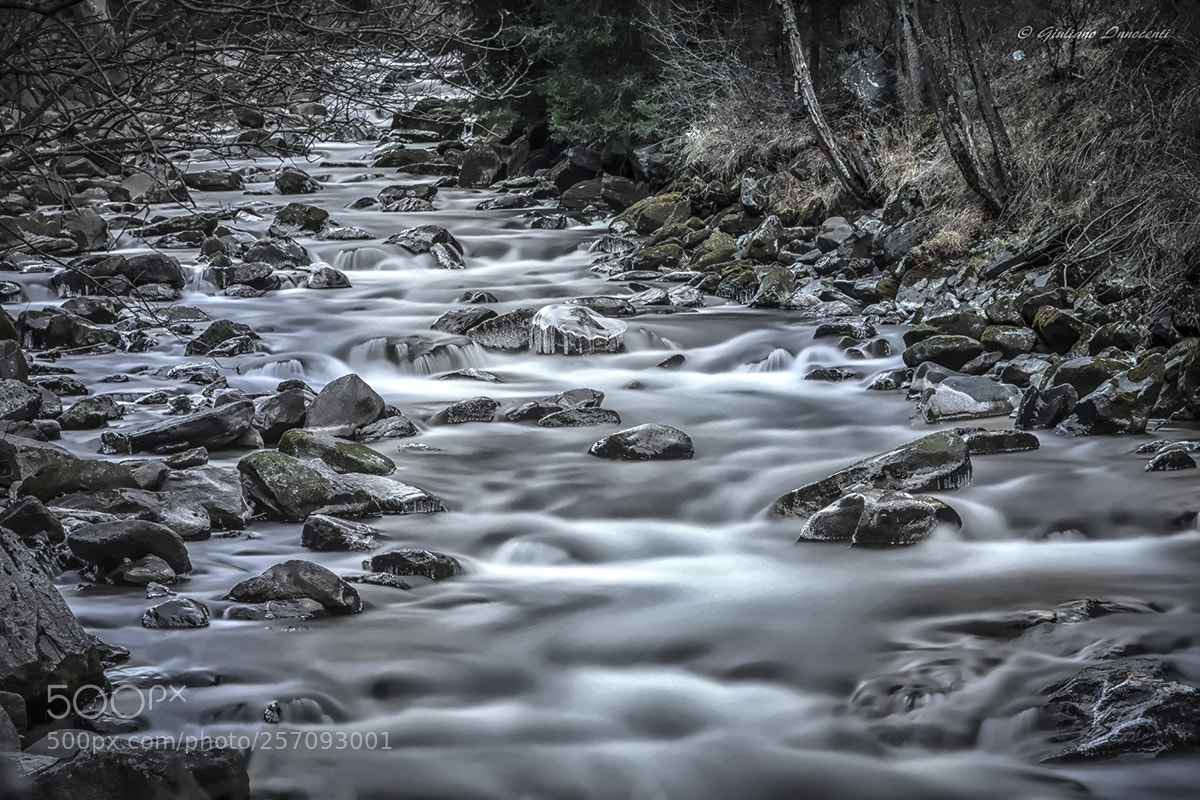 Nikon D7200 sample photo. All the streams run photography