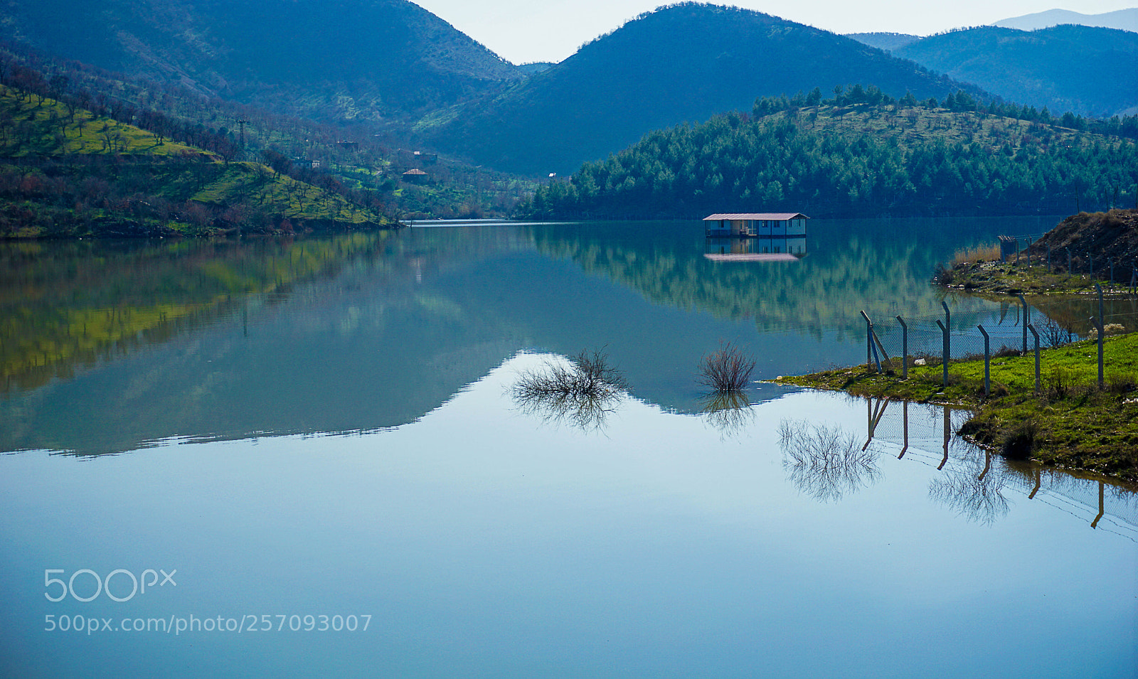 Sony a6000 sample photo. 11.jpg photography