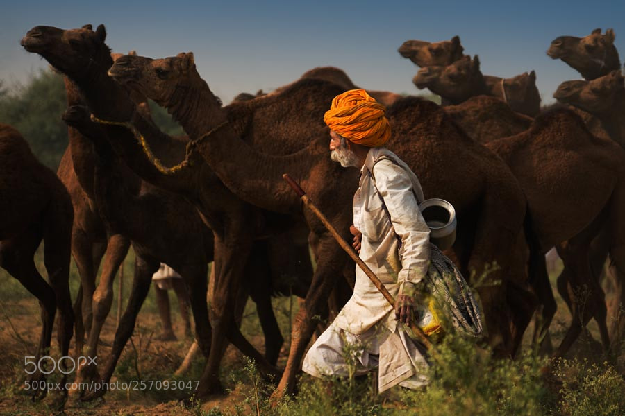 Sony a7 sample photo. Pushkar mela. rajasthan photography
