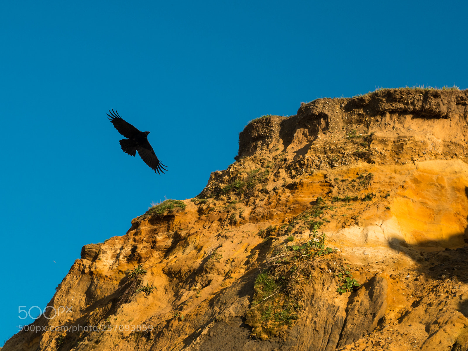 Panasonic Lumix DMC-G85 (Lumix DMC-G80) sample photo. As the crow flies photography