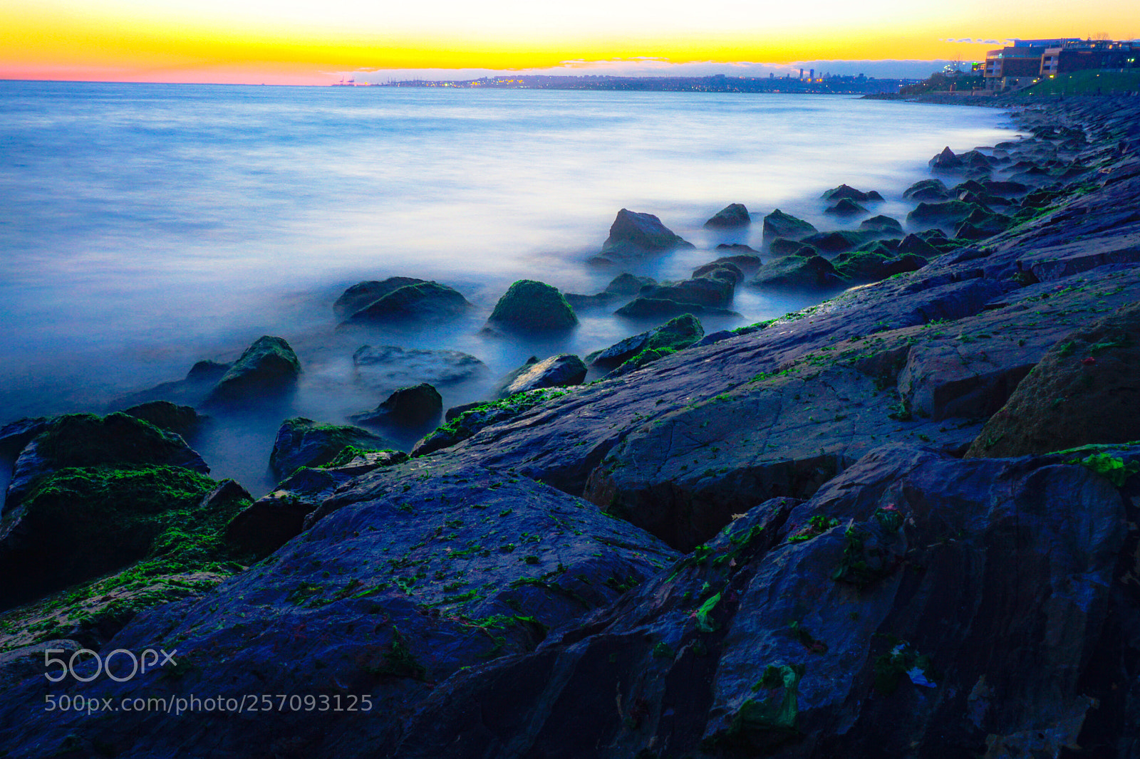 Sony a6000 sample photo. Seaweed rocks photography