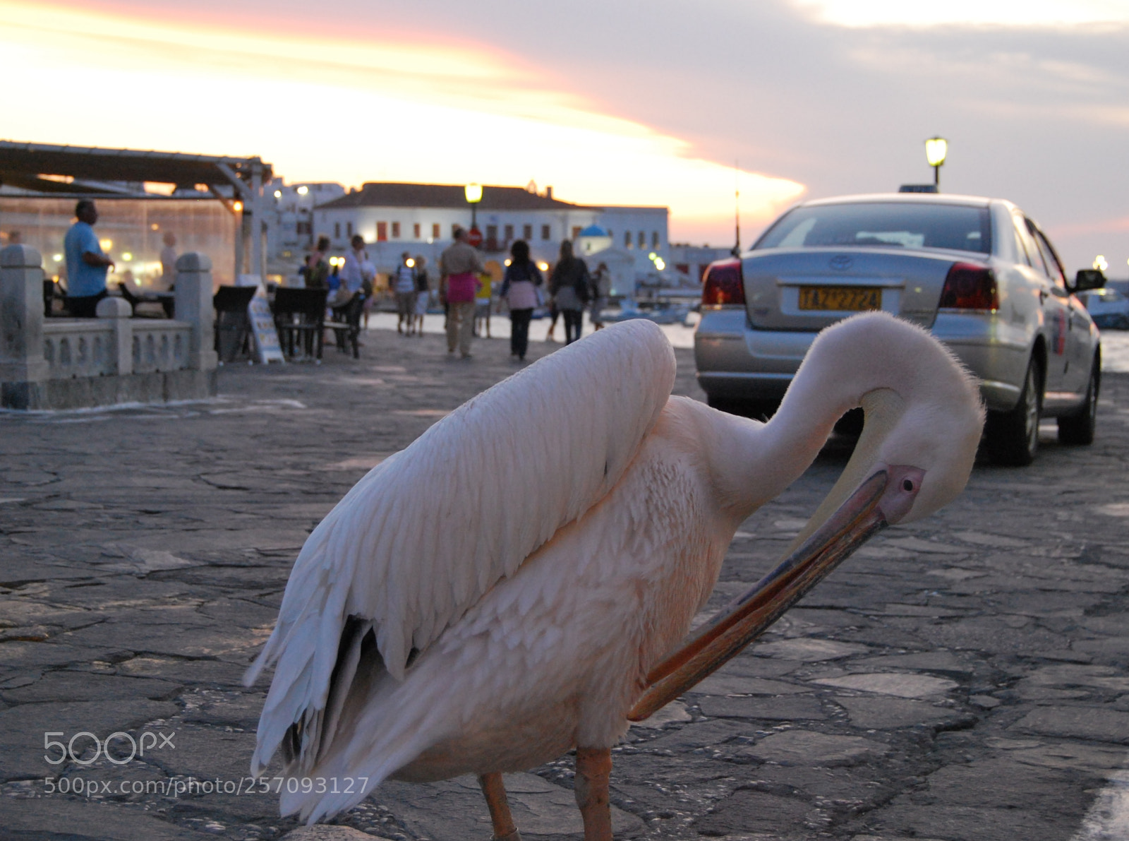 Nikon D60 sample photo. () version photography
