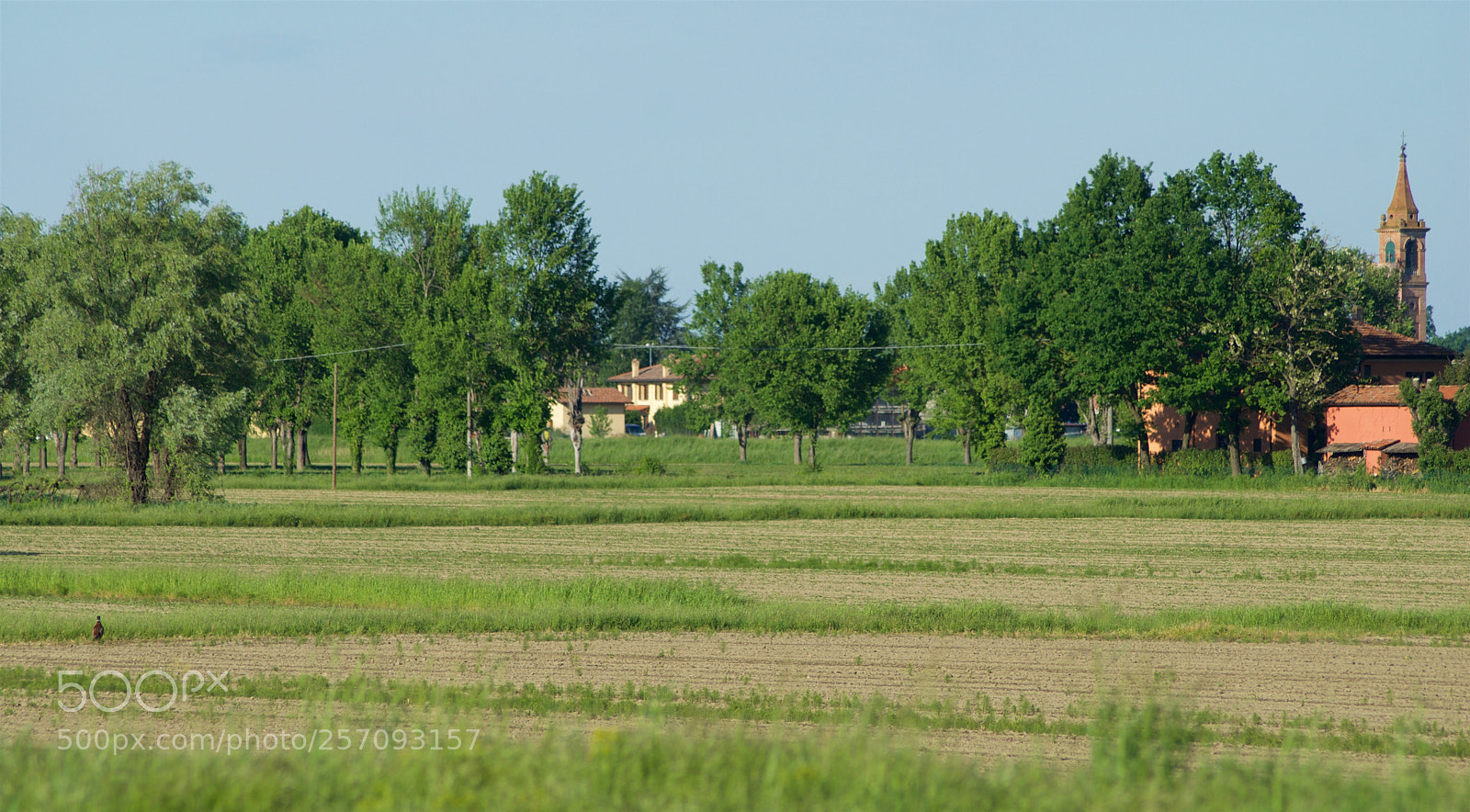 Nikon D60 sample photo. Version photography